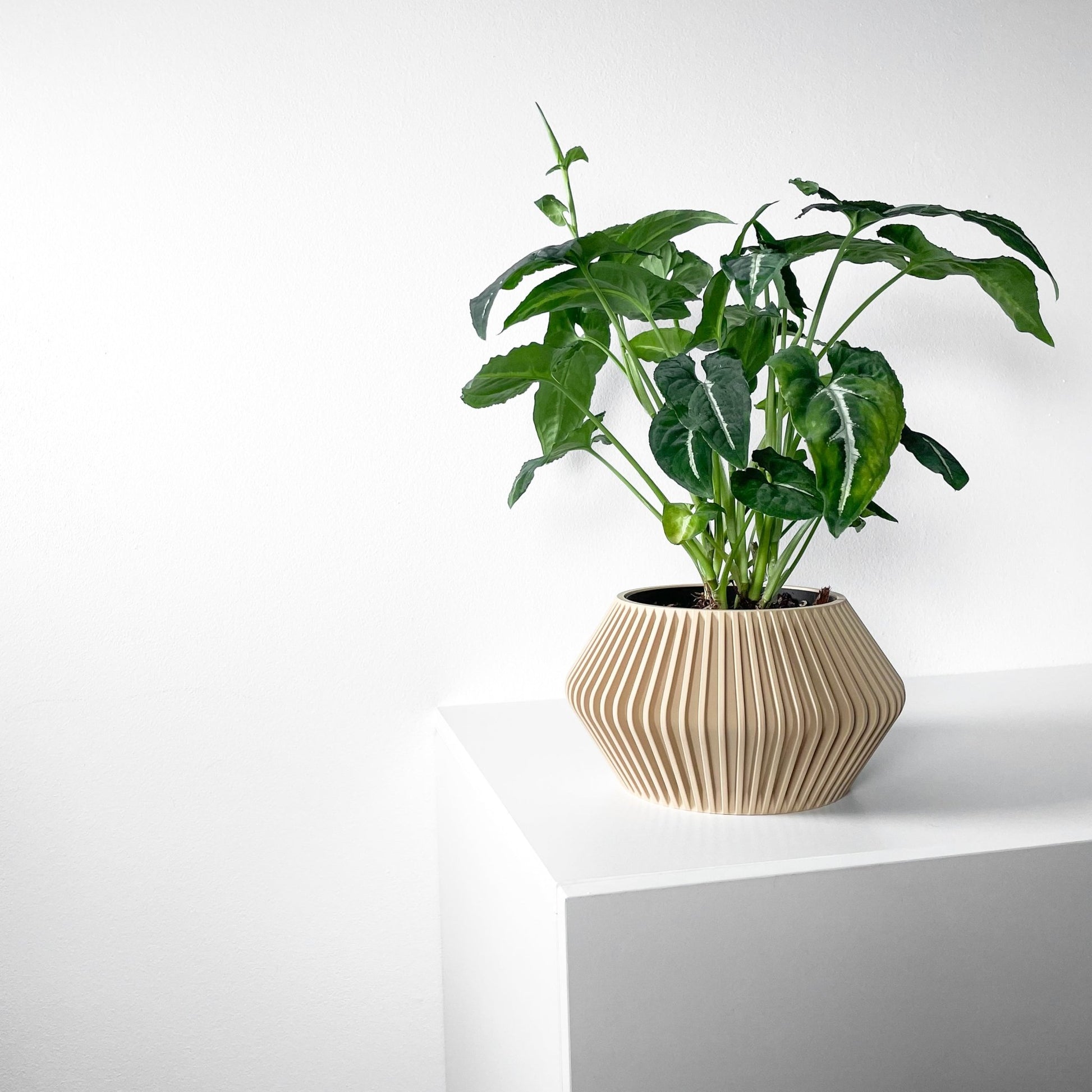 The "Hendro" Planter - Modern Indoor Plant Pot and Container - WG Creative Co.