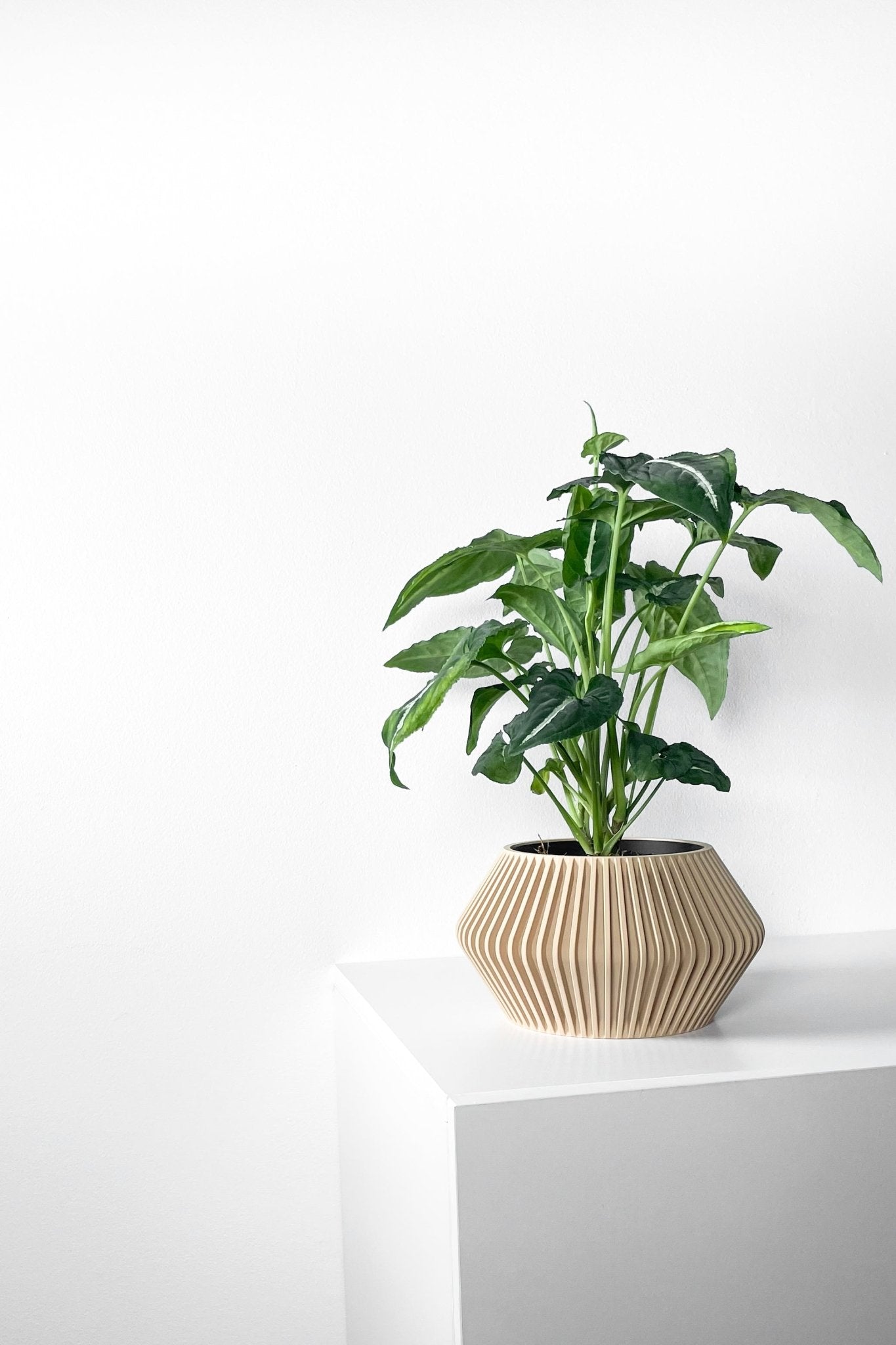 The "Hendro" Planter - Modern Indoor Plant Pot and Container - WG Creative Co.