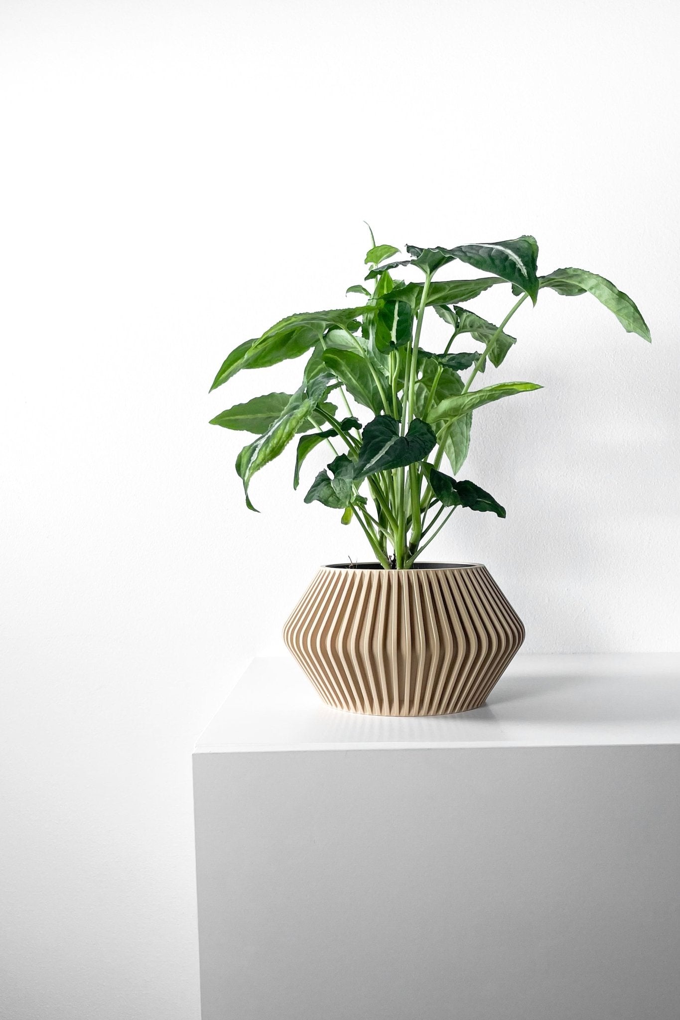 The "Hendro" Planter - Modern Indoor Plant Pot and Container - WG Creative Co.