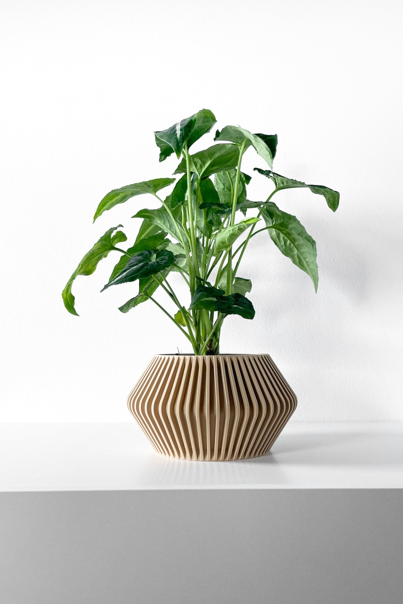 The "Hendro" Planter - Modern Indoor Plant Pot and Container - WG Creative Co.