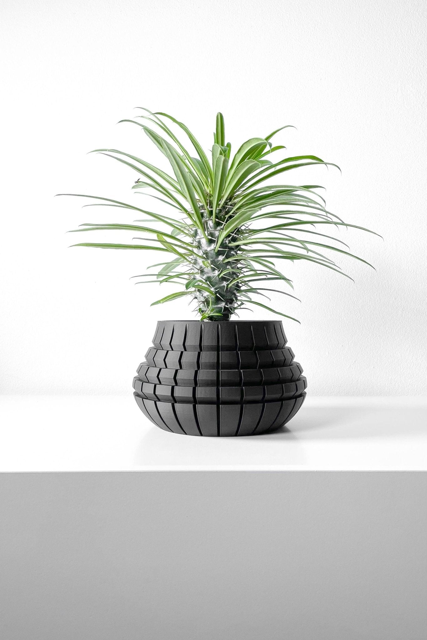 The "Ivane" Planter - Modern Indoor Plant Pot and Container - WG Creative Co.