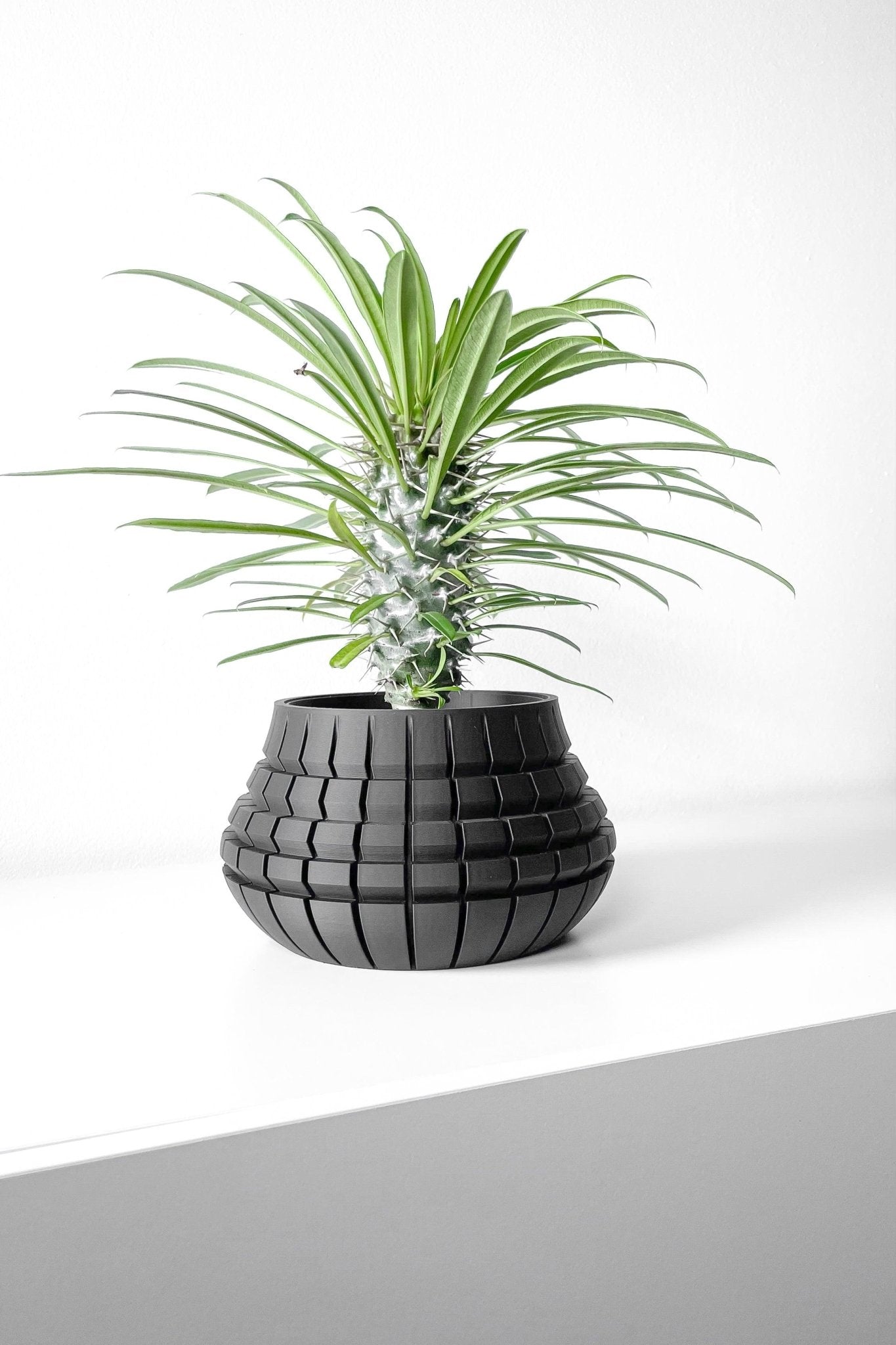 The "Ivane" Planter - Modern Indoor Plant Pot and Container - WG Creative Co.