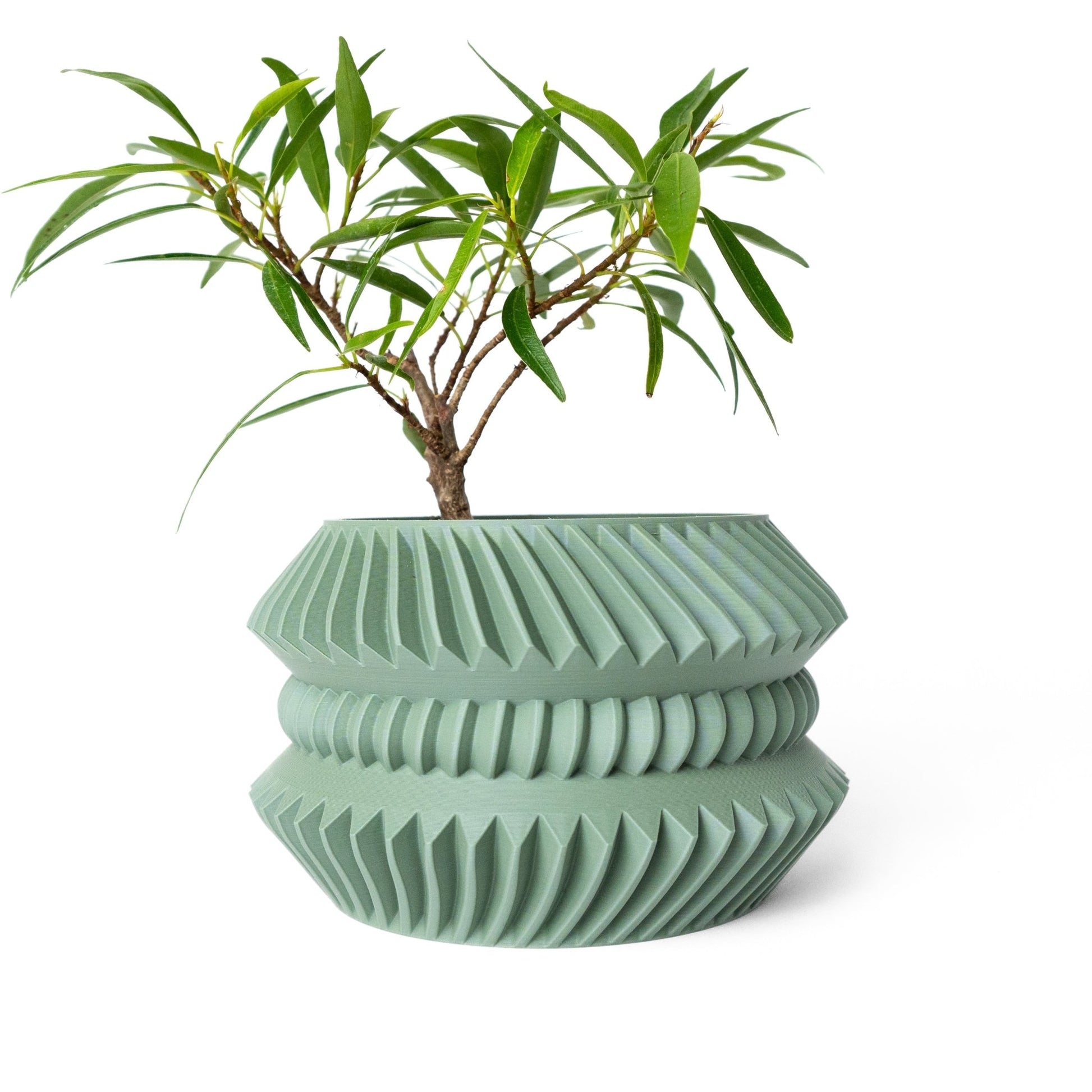 The "Jako" Planter - Modern Indoor Plant Pot and Container - WG Creative Co.