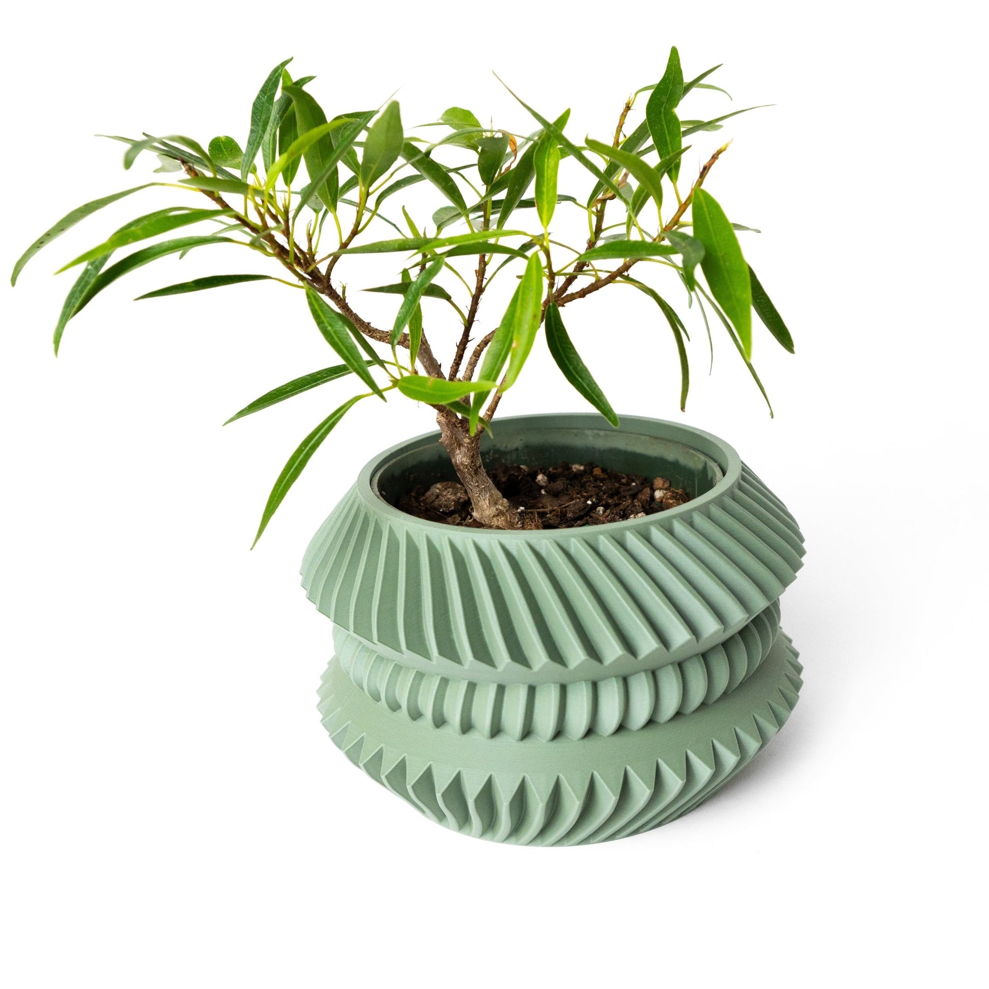 The "Jako" Planter - Modern Indoor Plant Pot and Container - WG Creative Co.