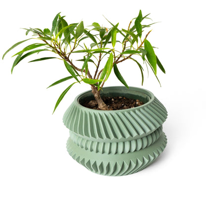 The "Jako" Planter - Modern Indoor Plant Pot and Container - WG Creative Co.