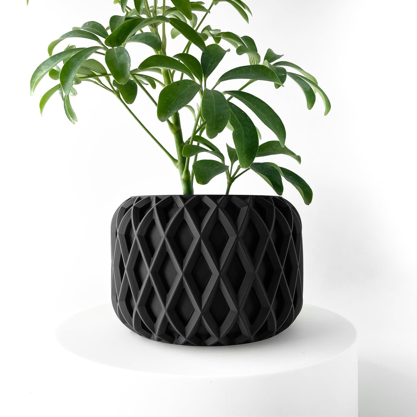 The "Kinao" Planter - Modern Indoor Plant Pot and Container - WG Creative Co.