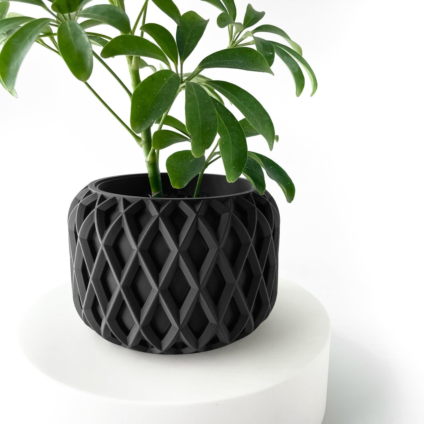 The "Kinao" Planter - Modern Indoor Plant Pot and Container - WG Creative Co.