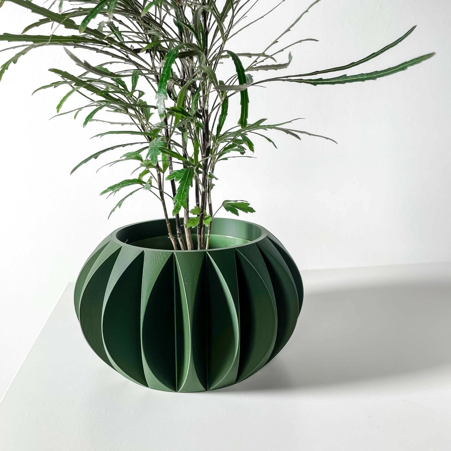 The "Kire" Planter - Modern Indoor Plant Pot and Container - WG Creative Co.