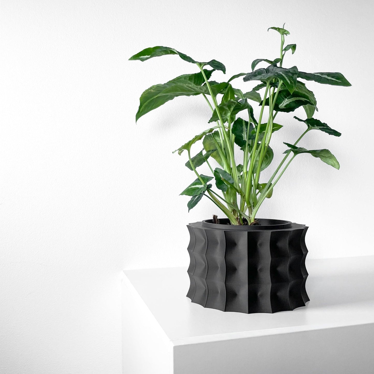 The "Kivern" Planter - Modern Indoor Plant Pot and Container - WG Creative Co.