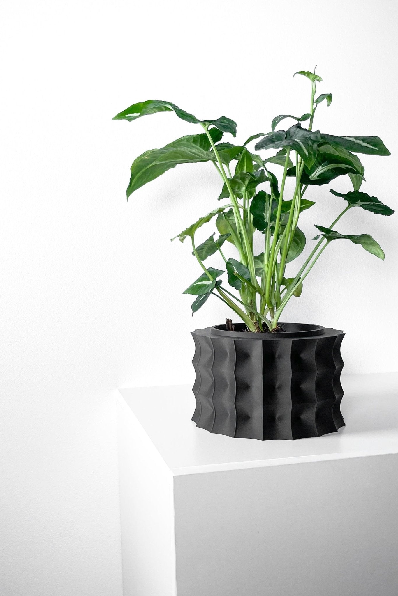 The "Kivern" Planter - Modern Indoor Plant Pot and Container - WG Creative Co.