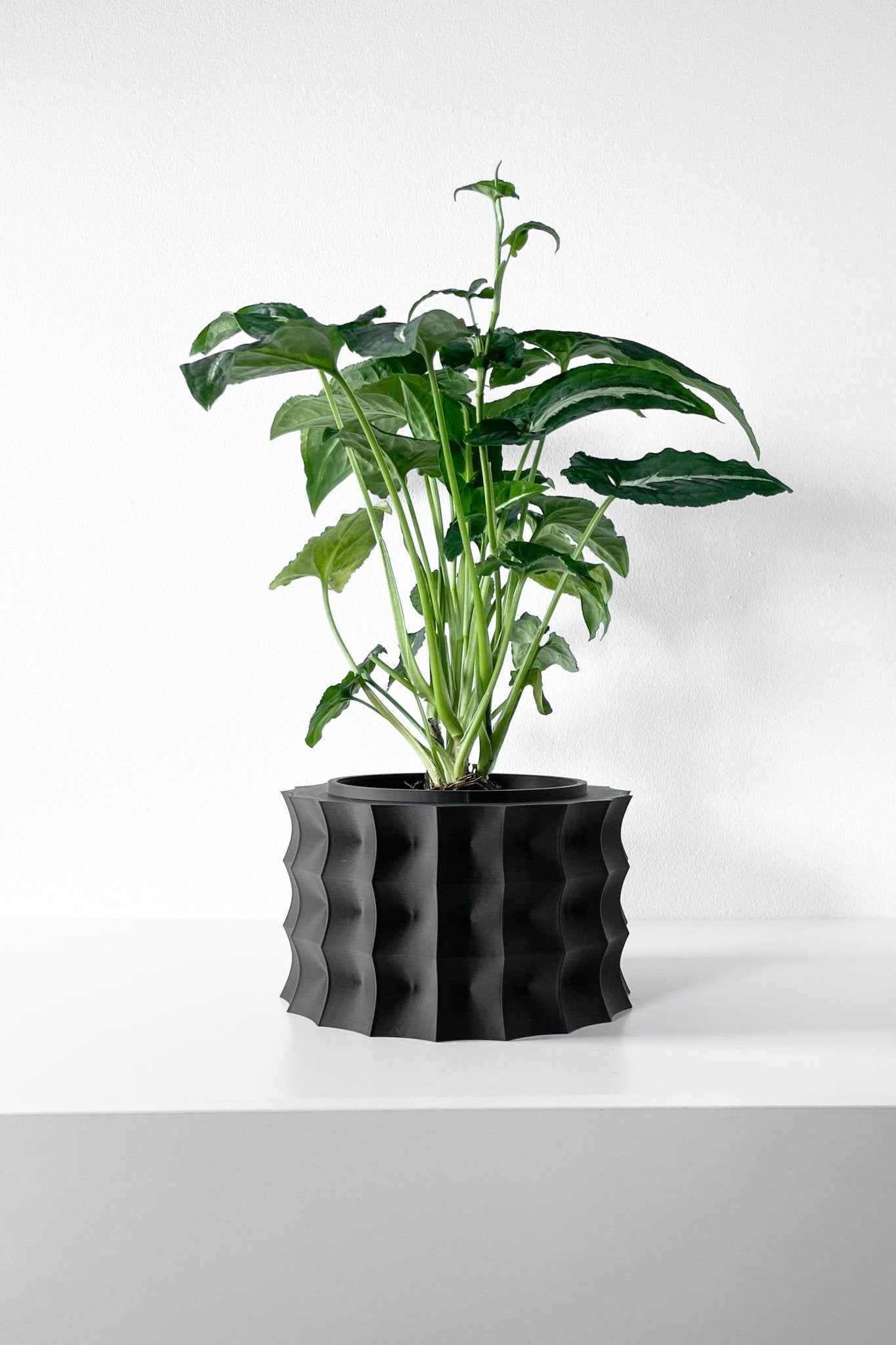 The "Kivern" Planter - Modern Indoor Plant Pot and Container - WG Creative Co.