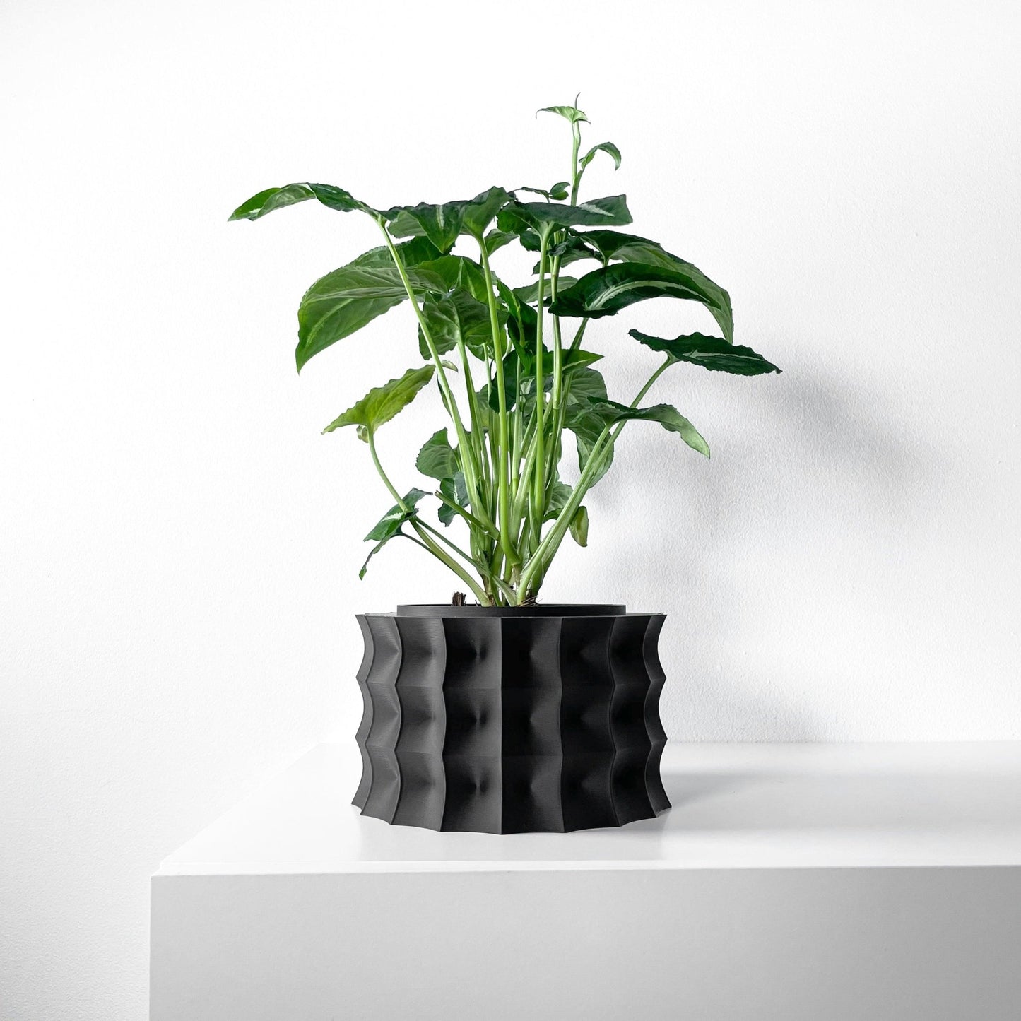 The "Kivern" Planter - Modern Indoor Plant Pot and Container - WG Creative Co.