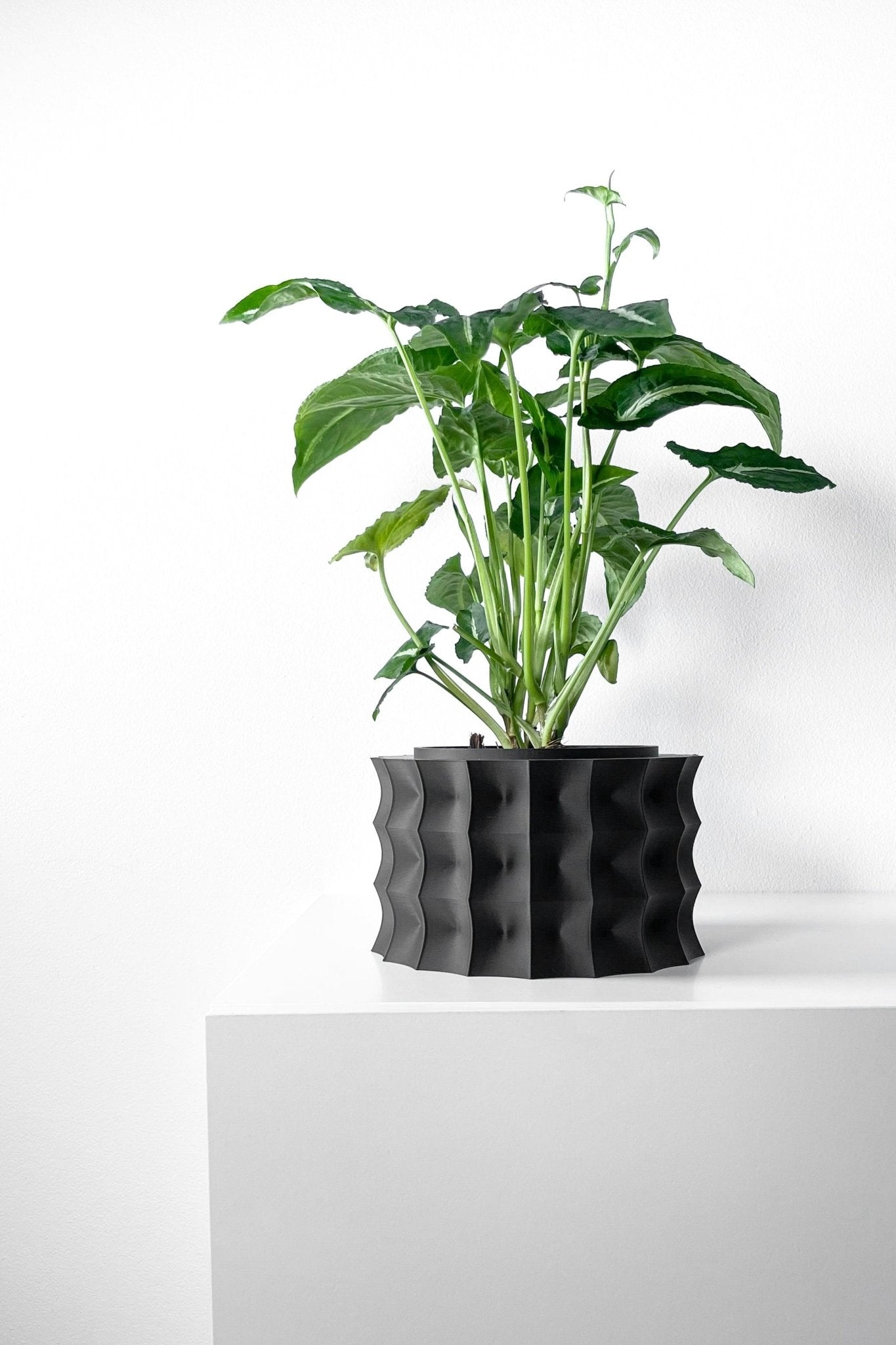 The "Kivern" Planter - Modern Indoor Plant Pot and Container - WG Creative Co.