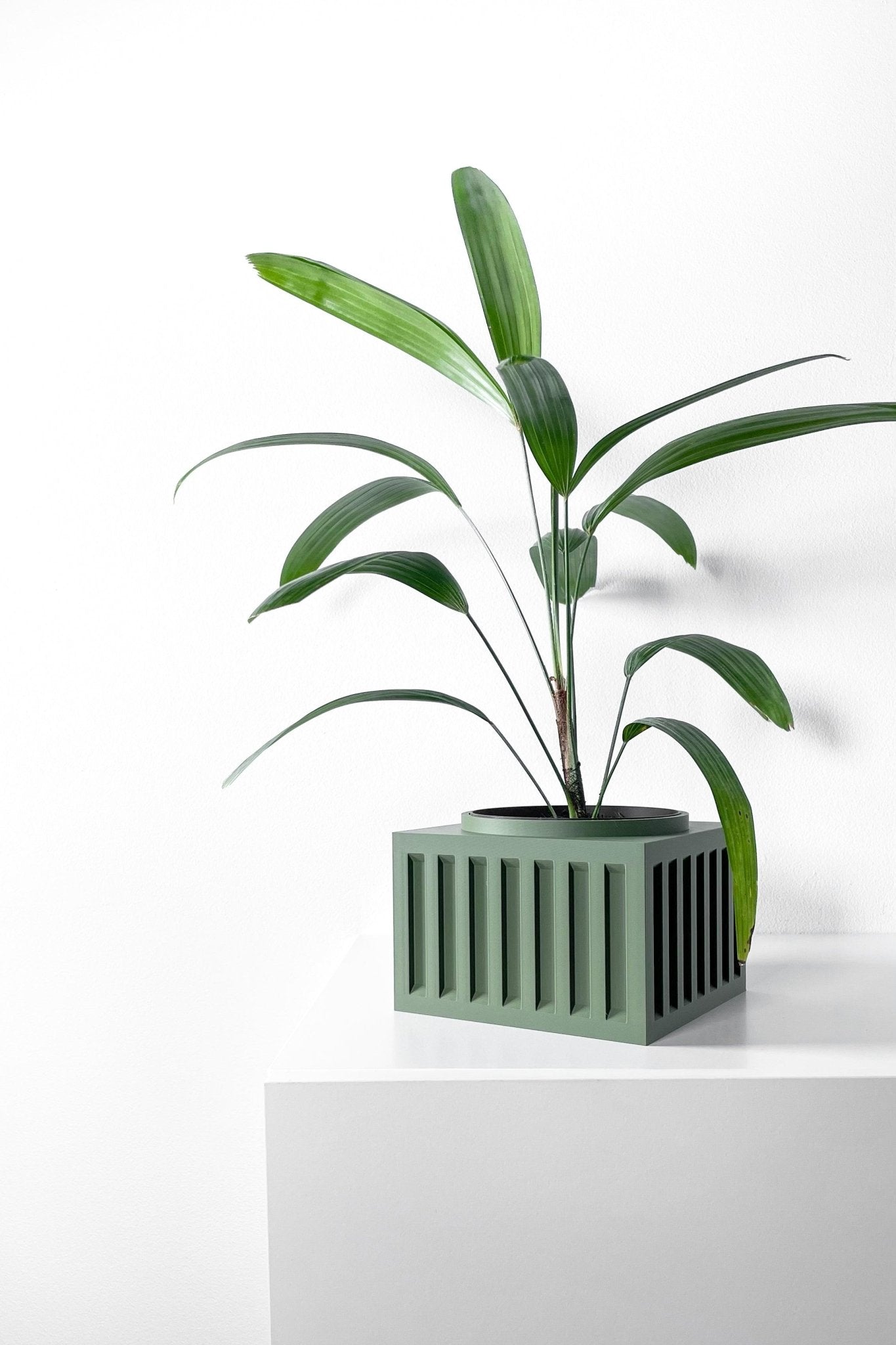 The "Larix" Planter - Modern Indoor Plant Pot and Container - WG Creative Co.