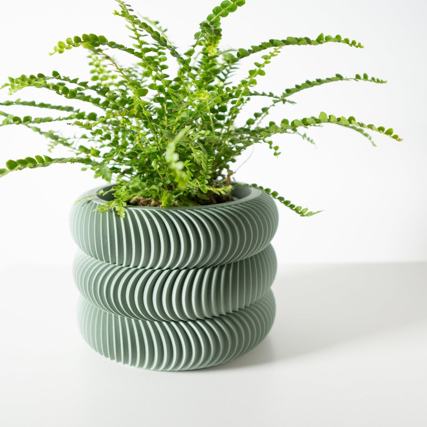 The "Maro" Planter - Modern Indoor Plant Pot and Container - WG Creative Co.