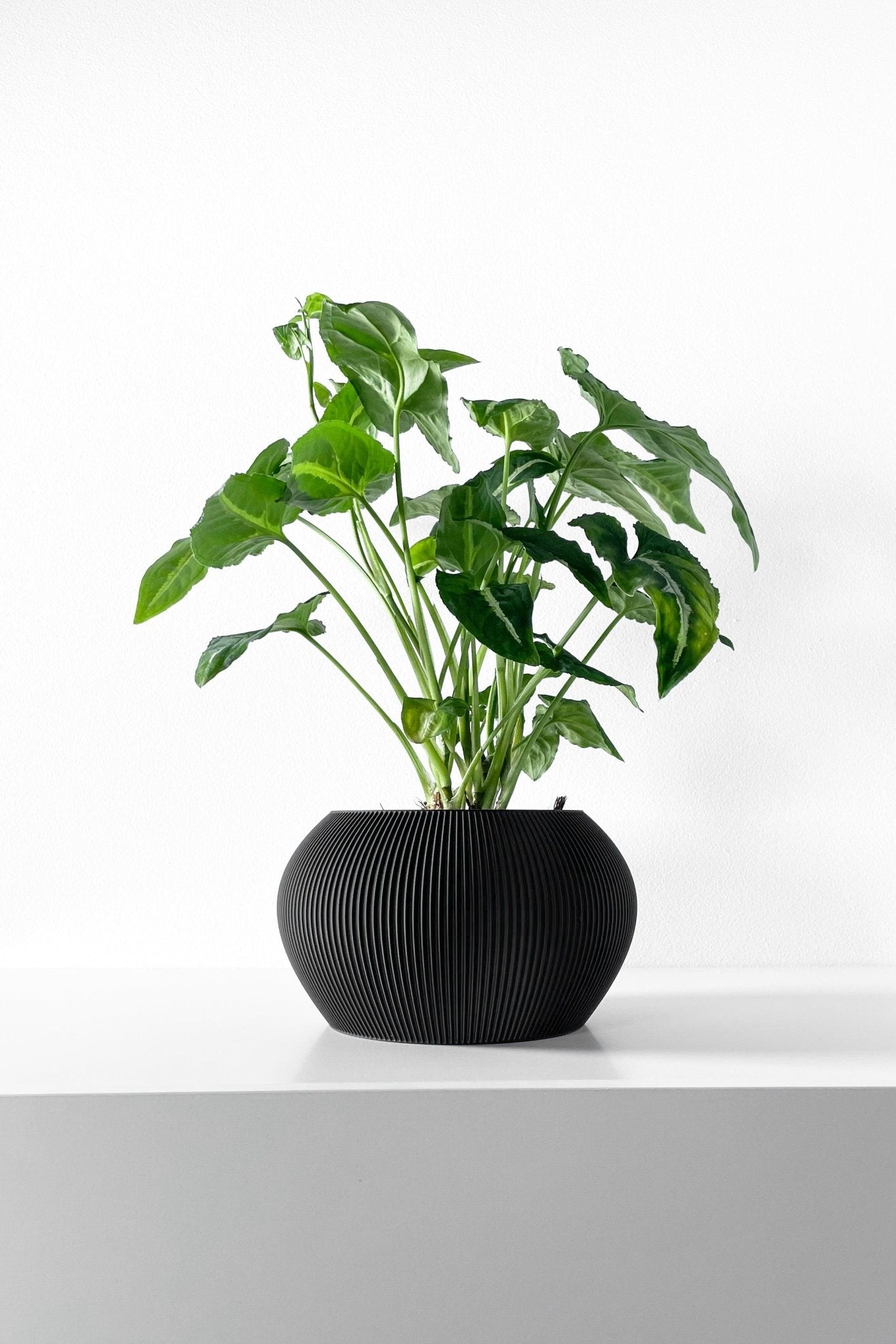 The "Melfi" Planter - Modern Indoor Plant Pot and Container - WG Creative Co.