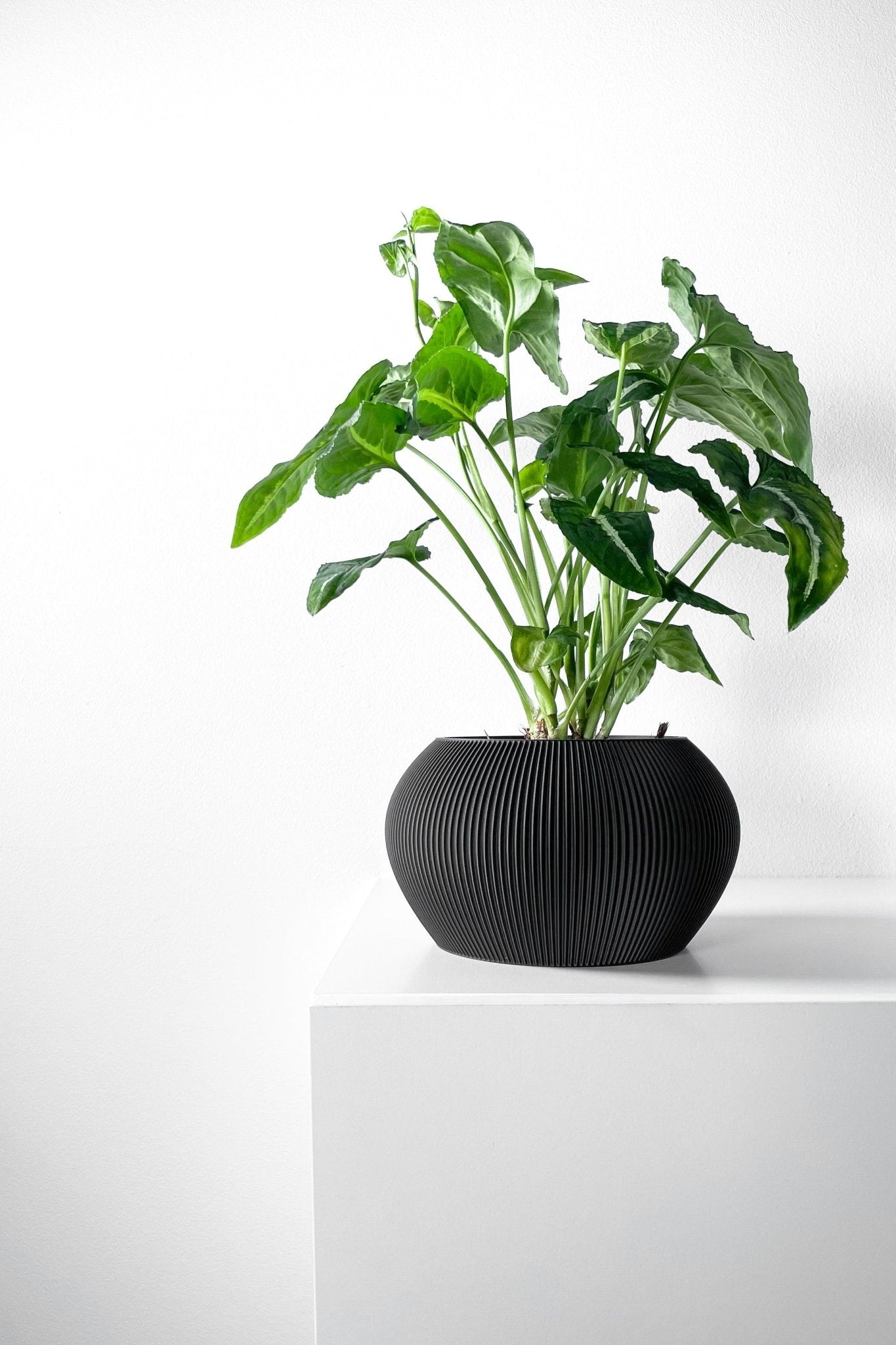 The "Melfi" Planter - Modern Indoor Plant Pot and Container - WG Creative Co.