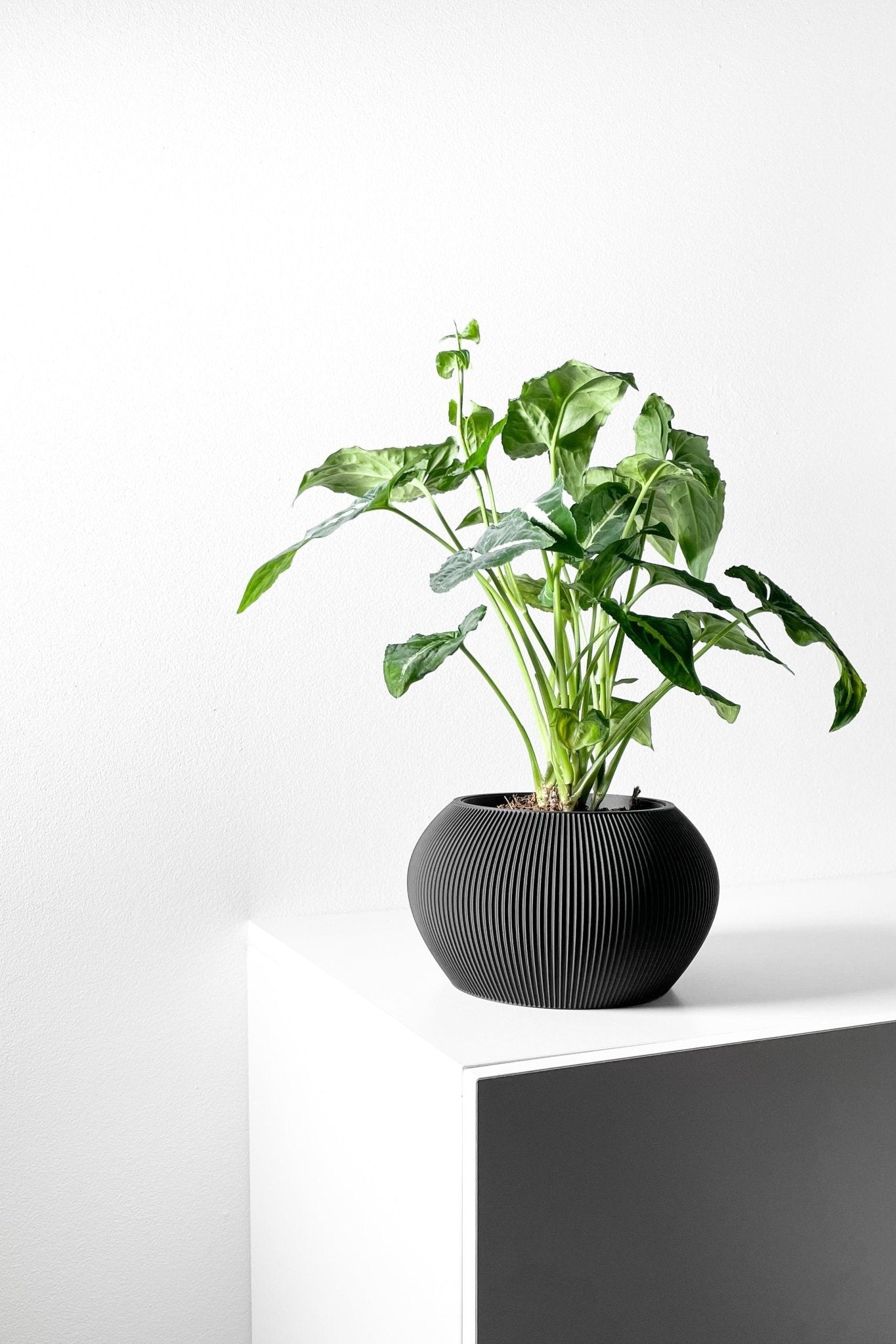 The "Melfi" Planter - Modern Indoor Plant Pot and Container - WG Creative Co.