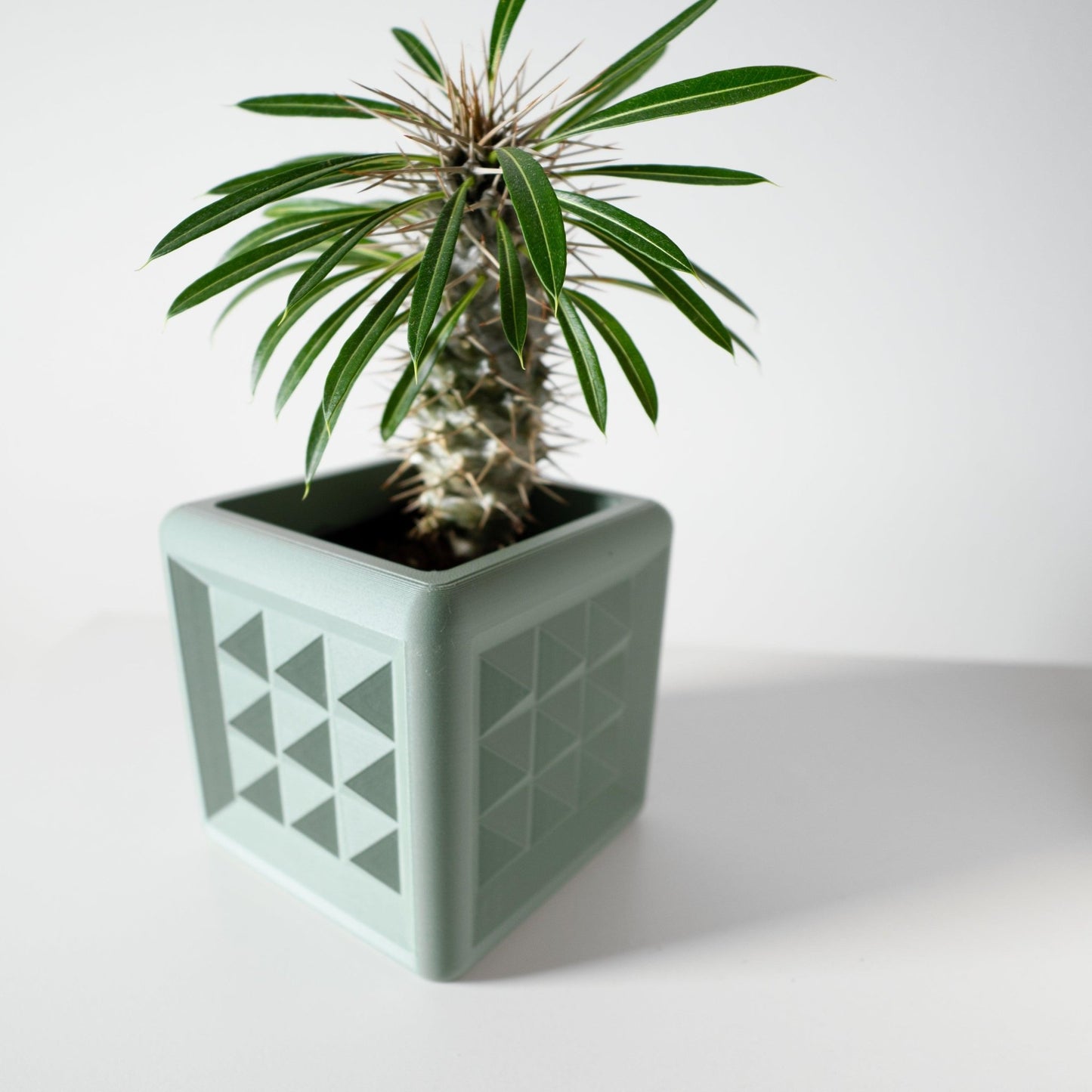 The "Novo" Planter - Modern Indoor Plant Pot and Container - WG Creative Co.