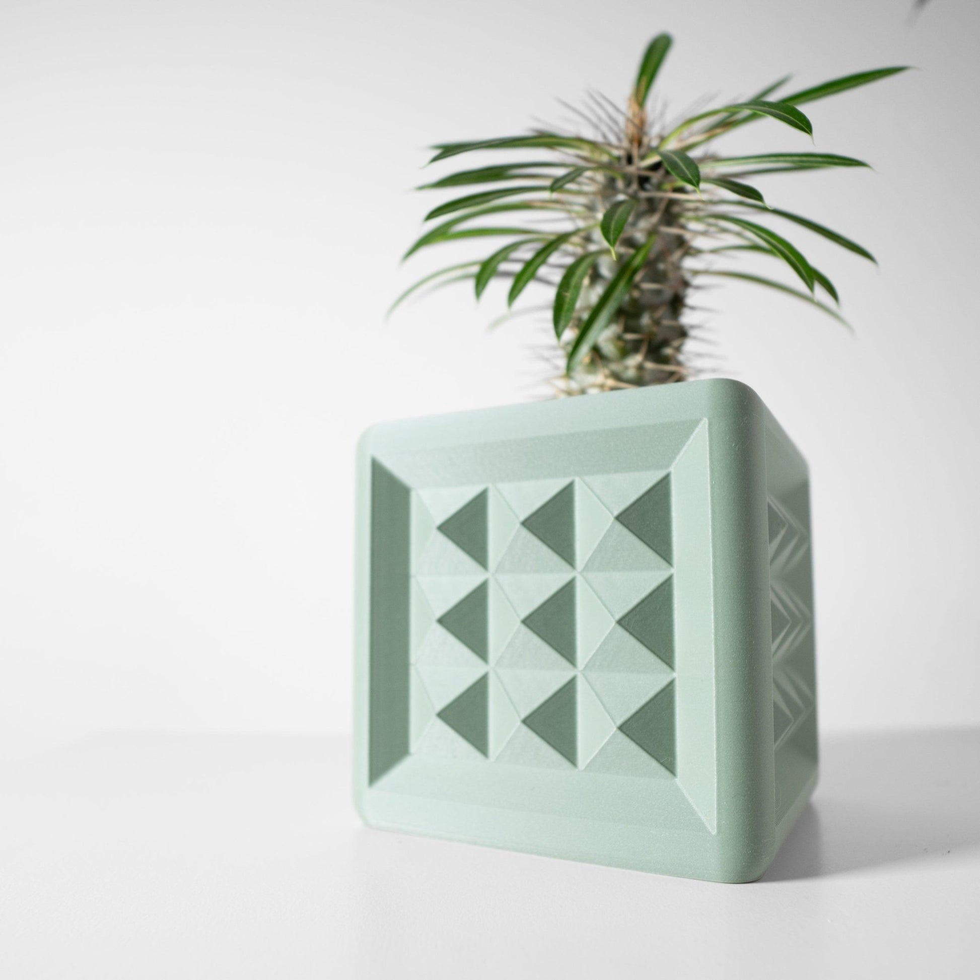 The "Novo" Planter - Modern Indoor Plant Pot and Container - WG Creative Co.