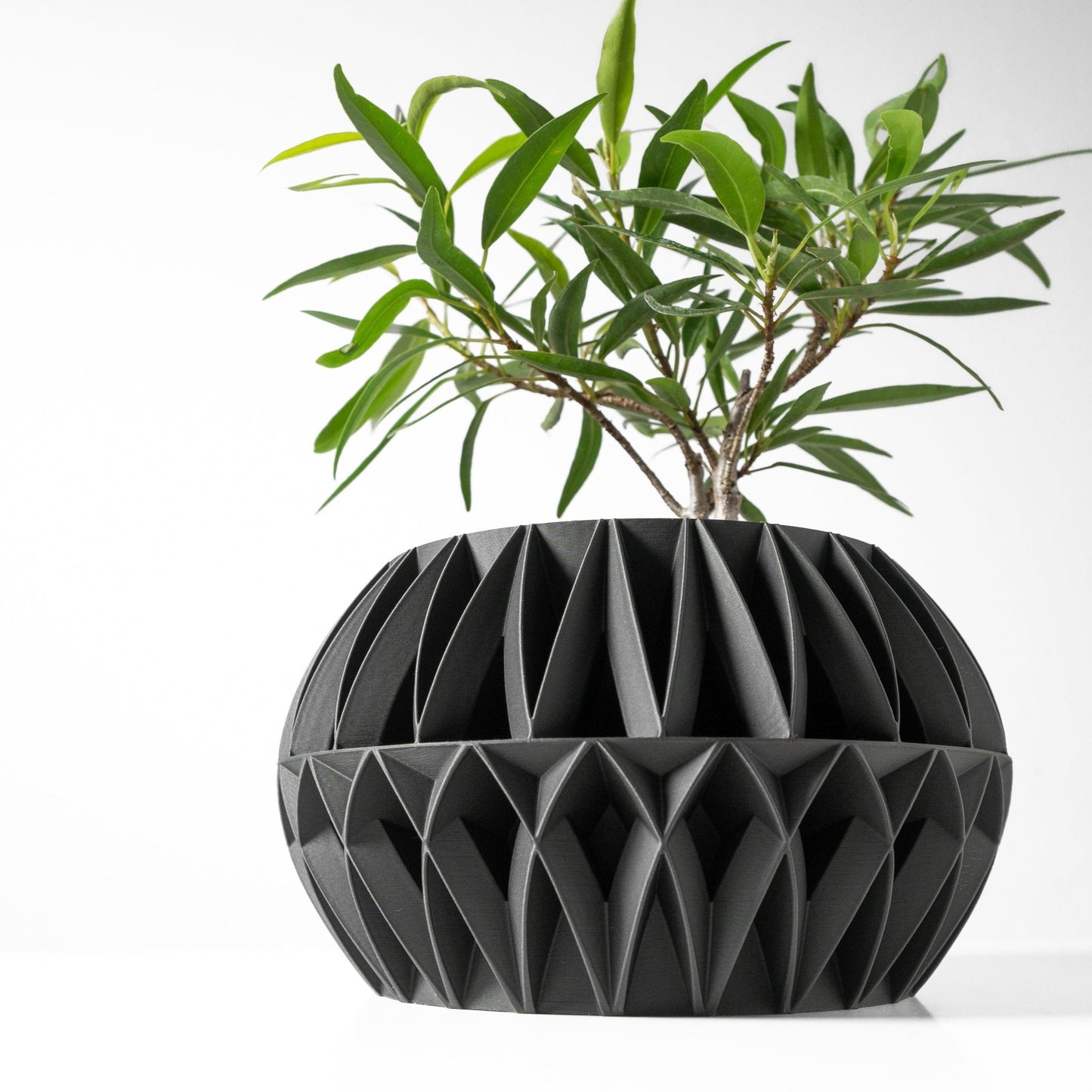 The "Oku" Planter - Modern Indoor Plant Pot and Container - WG Creative Co.