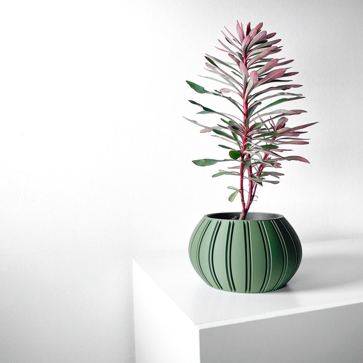 The "Ovire" Planter - Modern Indoor Plant Pot and Container - WG Creative Co.