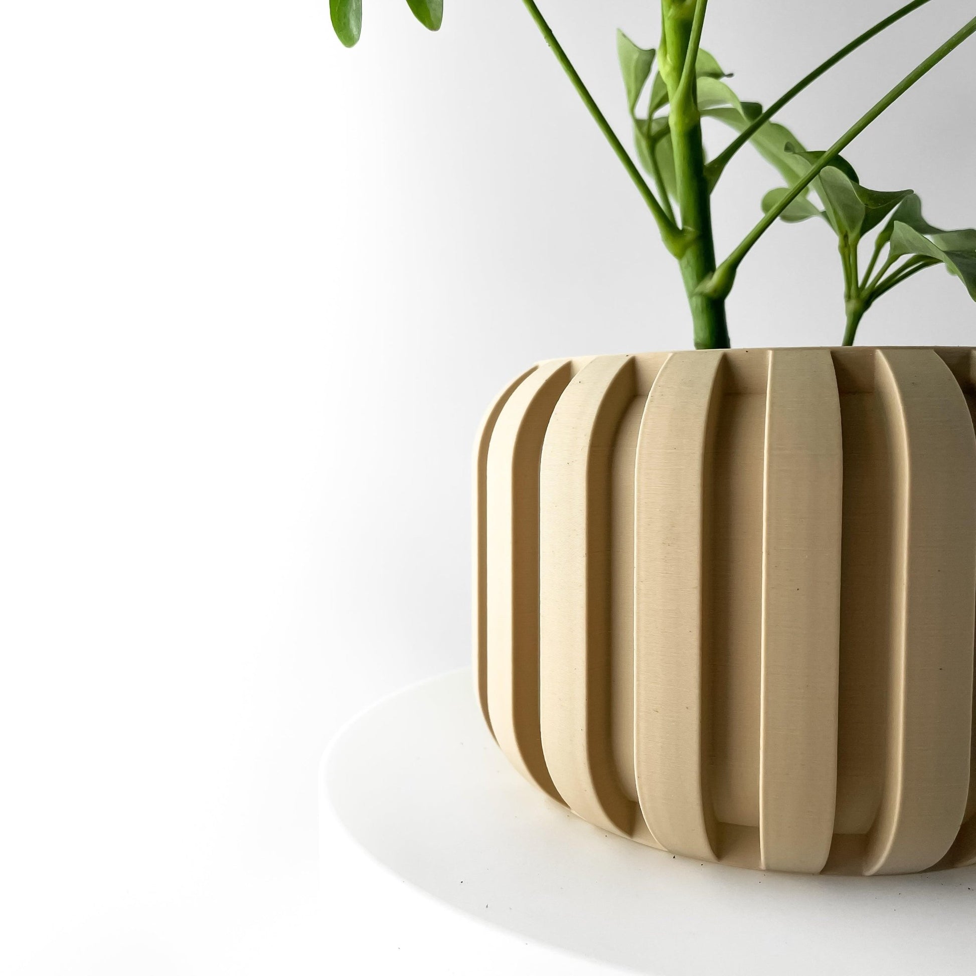 The "Panu" Planter - Modern Indoor Plant Pot and Container - WG Creative Co.