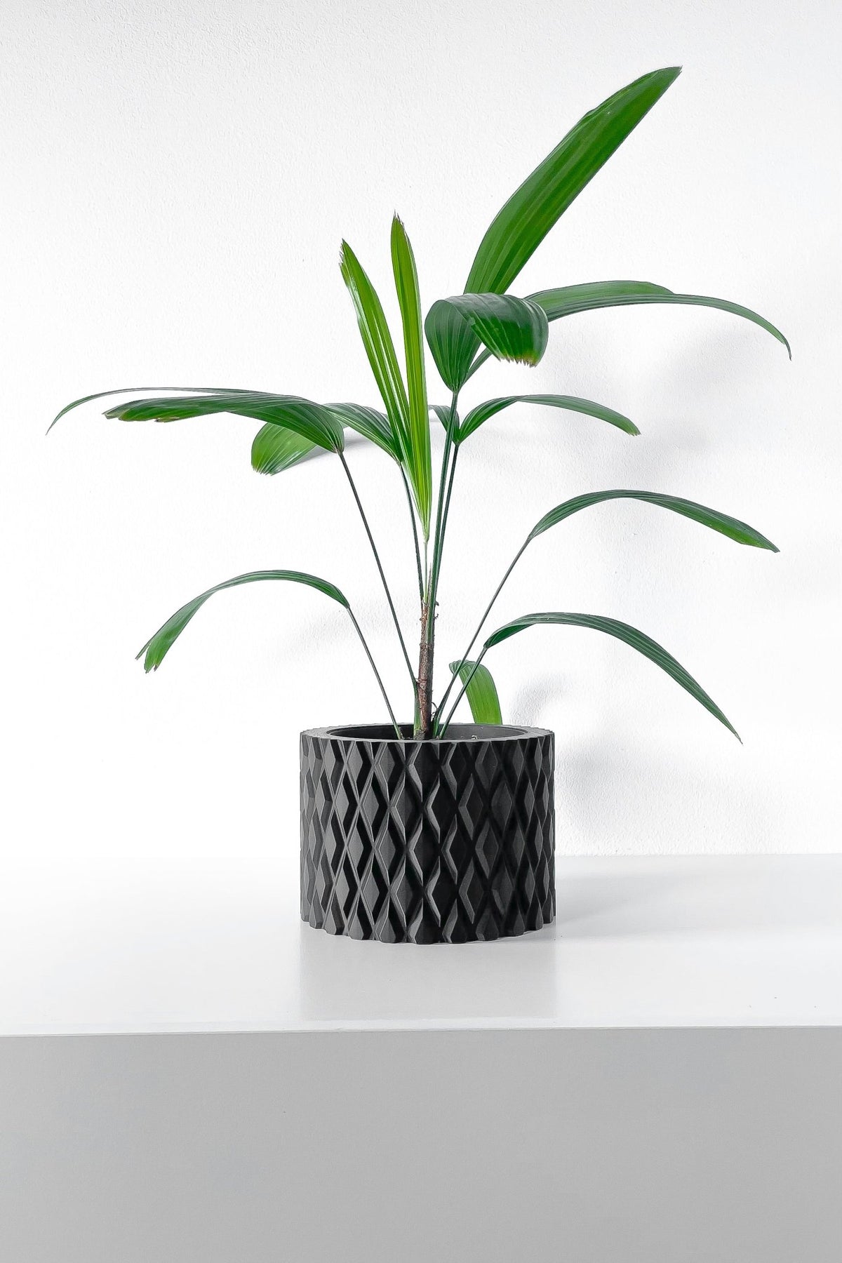 house plant pots containers Pewter Pot – Hexagonal Cell 3D Printed Indoor Planter 4" / Matte Black