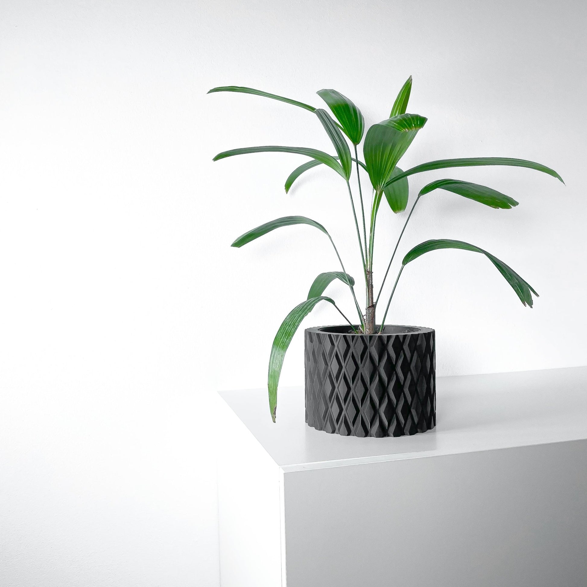 The "Pexil" Planter - Modern Indoor Plant Pot and Container - WG Creative Co.