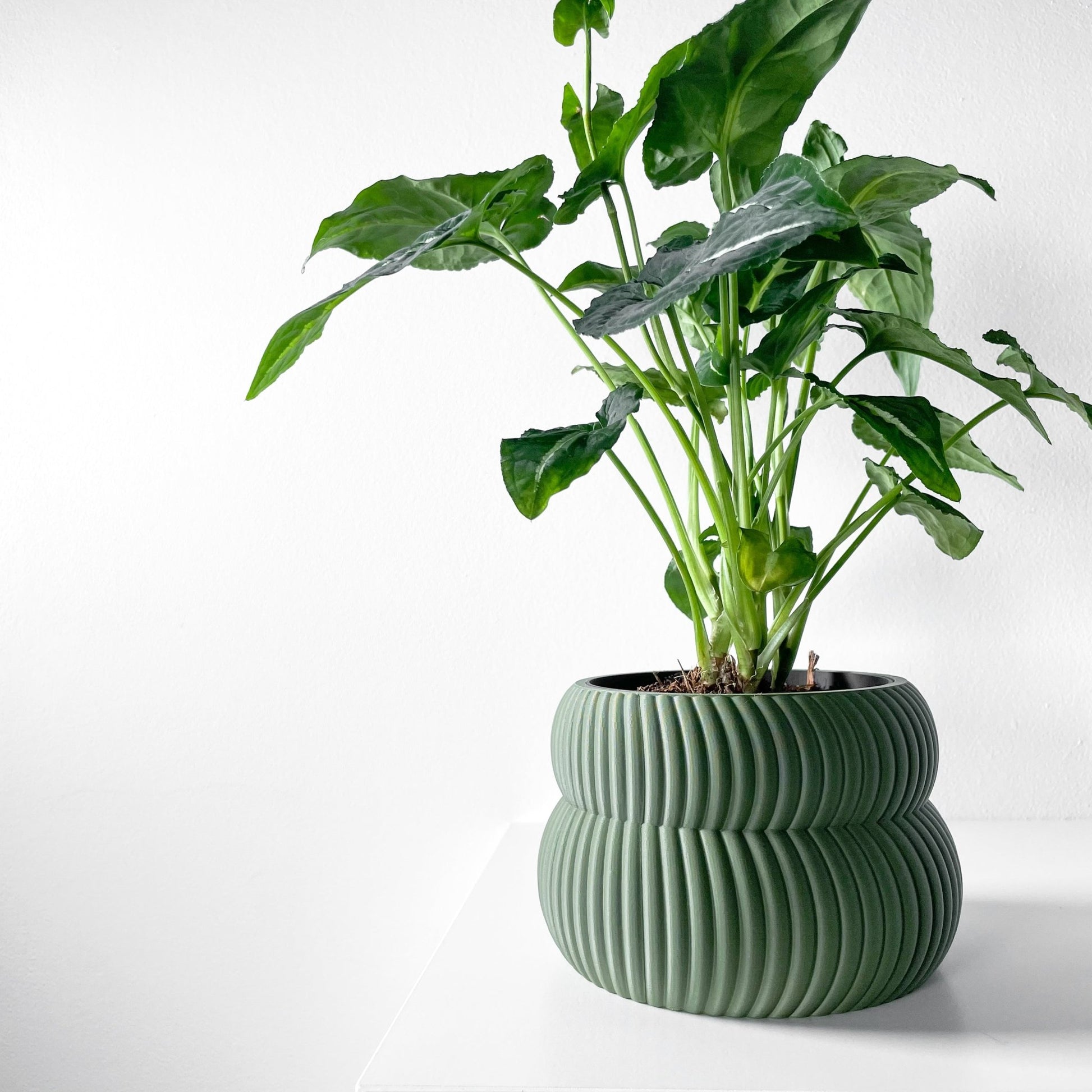 The "Quarn" Planter - Modern Indoor Plant Pot and Container - WG Creative Co.