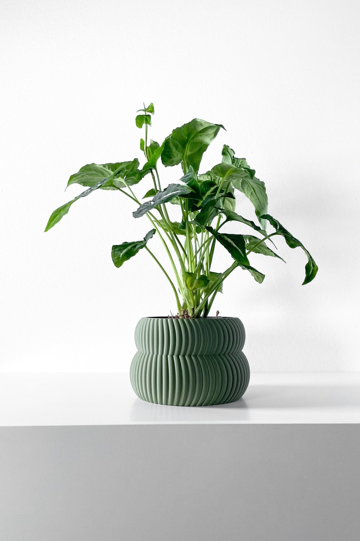 The "Quarn" Planter - Modern Indoor Plant Pot and Container - WG Creative Co.