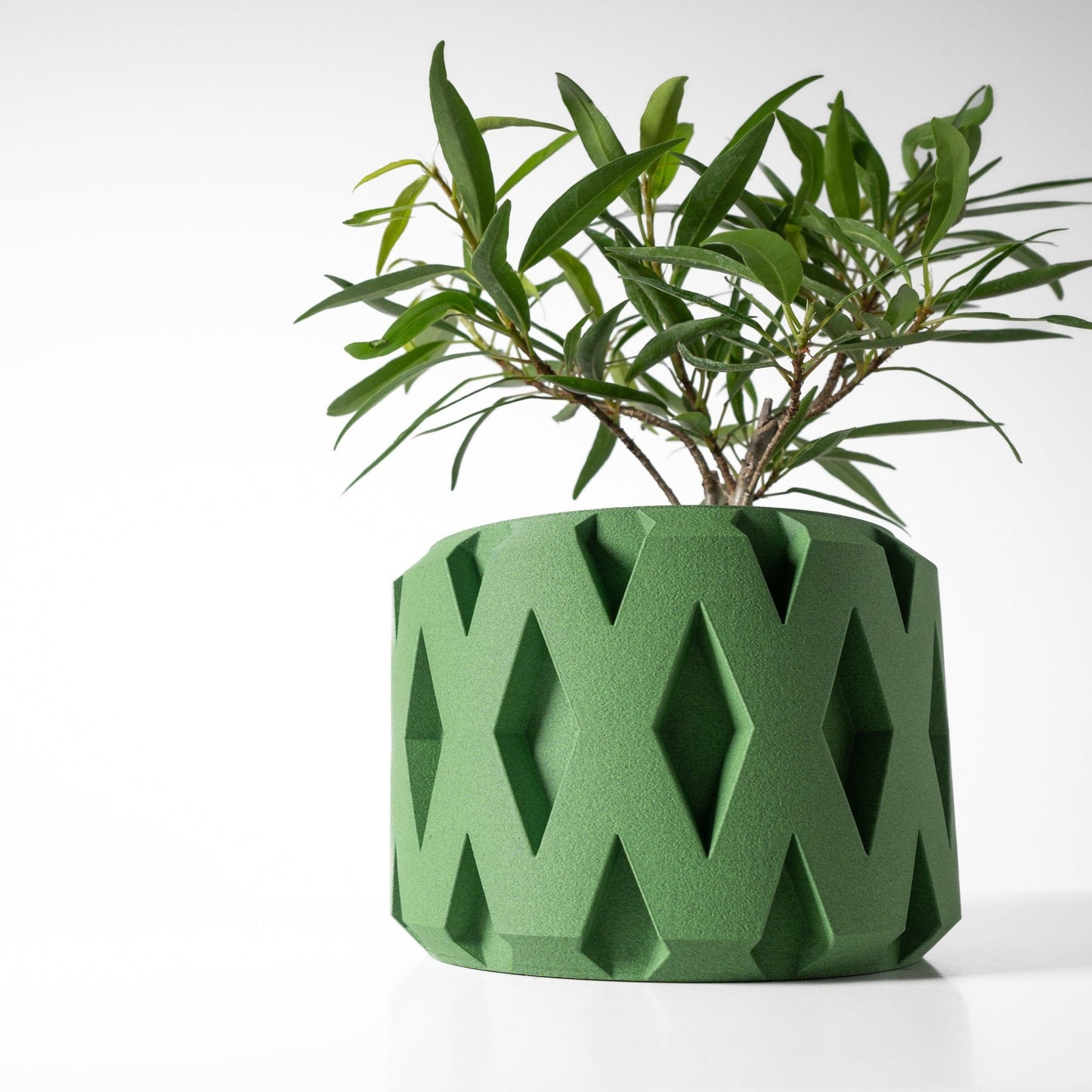 The "Rano" Planter - Modern Indoor Plant Pot and Container - WG Creative Co.