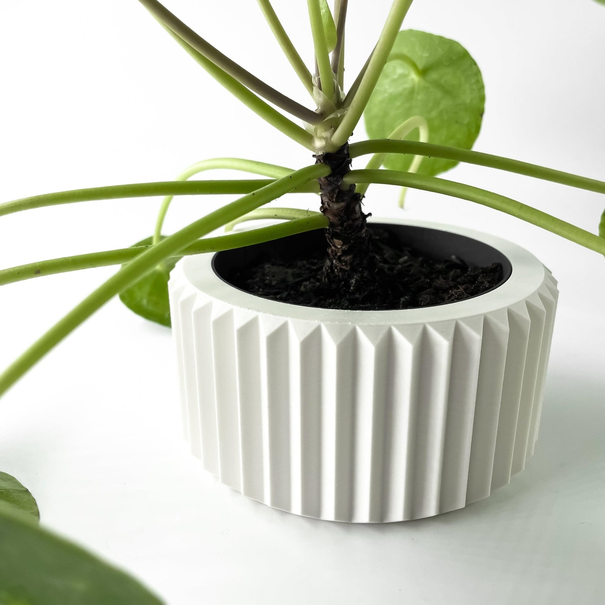 The "Rilas" Planter - Modern Indoor Plant Pot and Container - WG Creative Co.