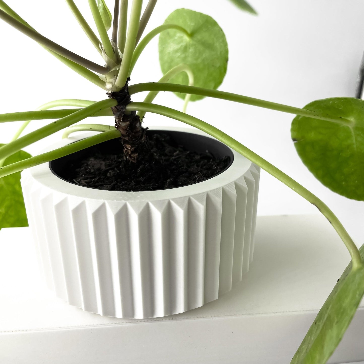 The "Rilas" Planter - Modern Indoor Plant Pot and Container - WG Creative Co.