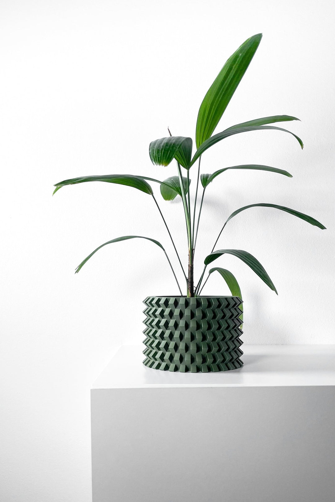 The "Rilvo" Planter - Modern Indoor Plant Pot and Container - WG Creative Co.