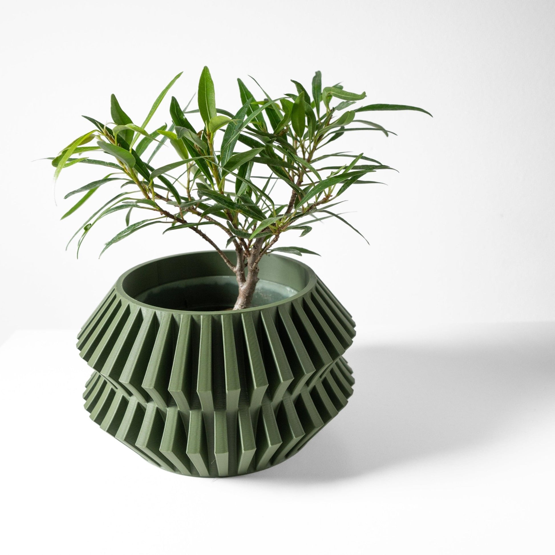 The "Risae" Planter - Modern Indoor Plant Pot and Container - WG Creative Co.