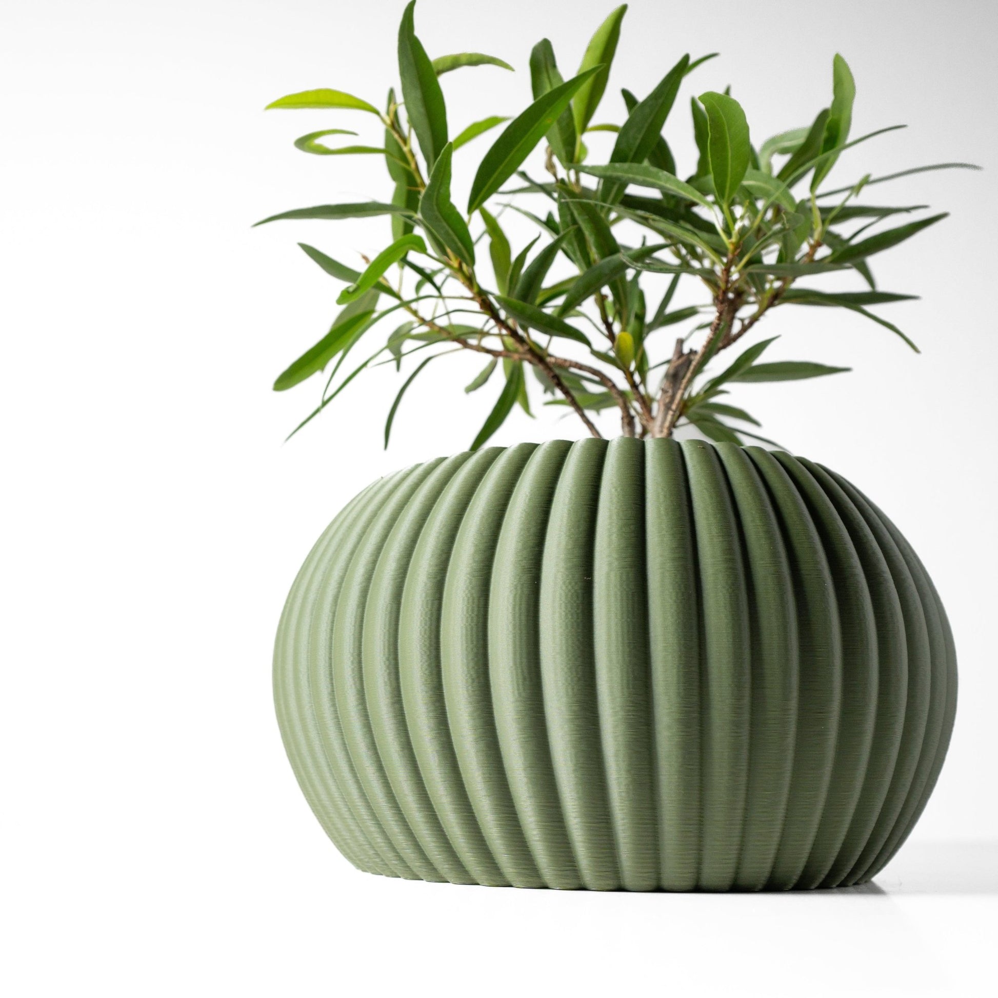 The "Roni" Planter - Modern Indoor Plant Pot and Container - WG Creative Co.