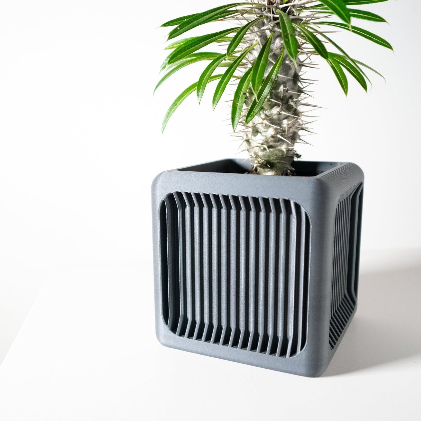 The "Rovo" Planter - Modern Indoor Plant Pot and Container - WG Creative Co.