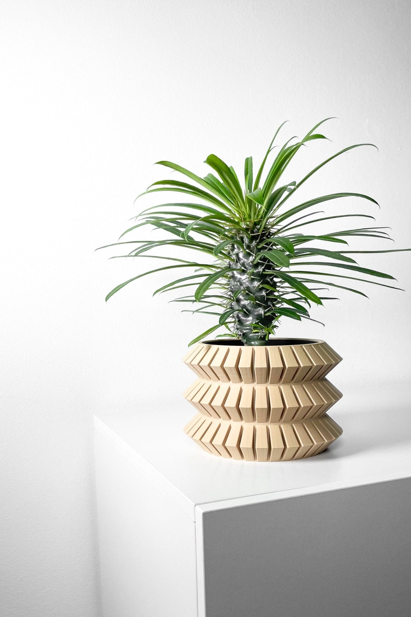 The "Sivat" Planter - Modern Indoor Plant Pot and Container - WG Creative Co.