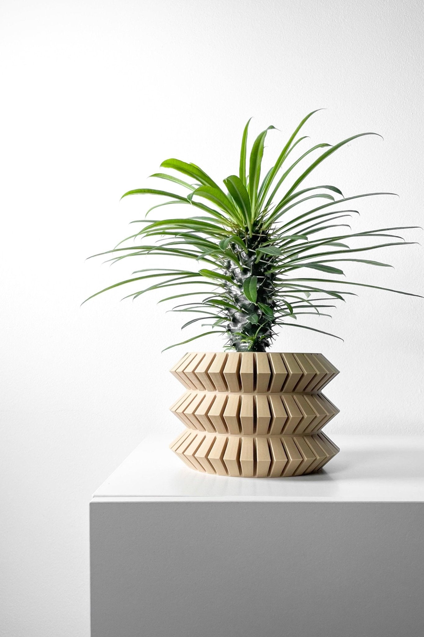 The "Sivat" Planter - Modern Indoor Plant Pot and Container - WG Creative Co.