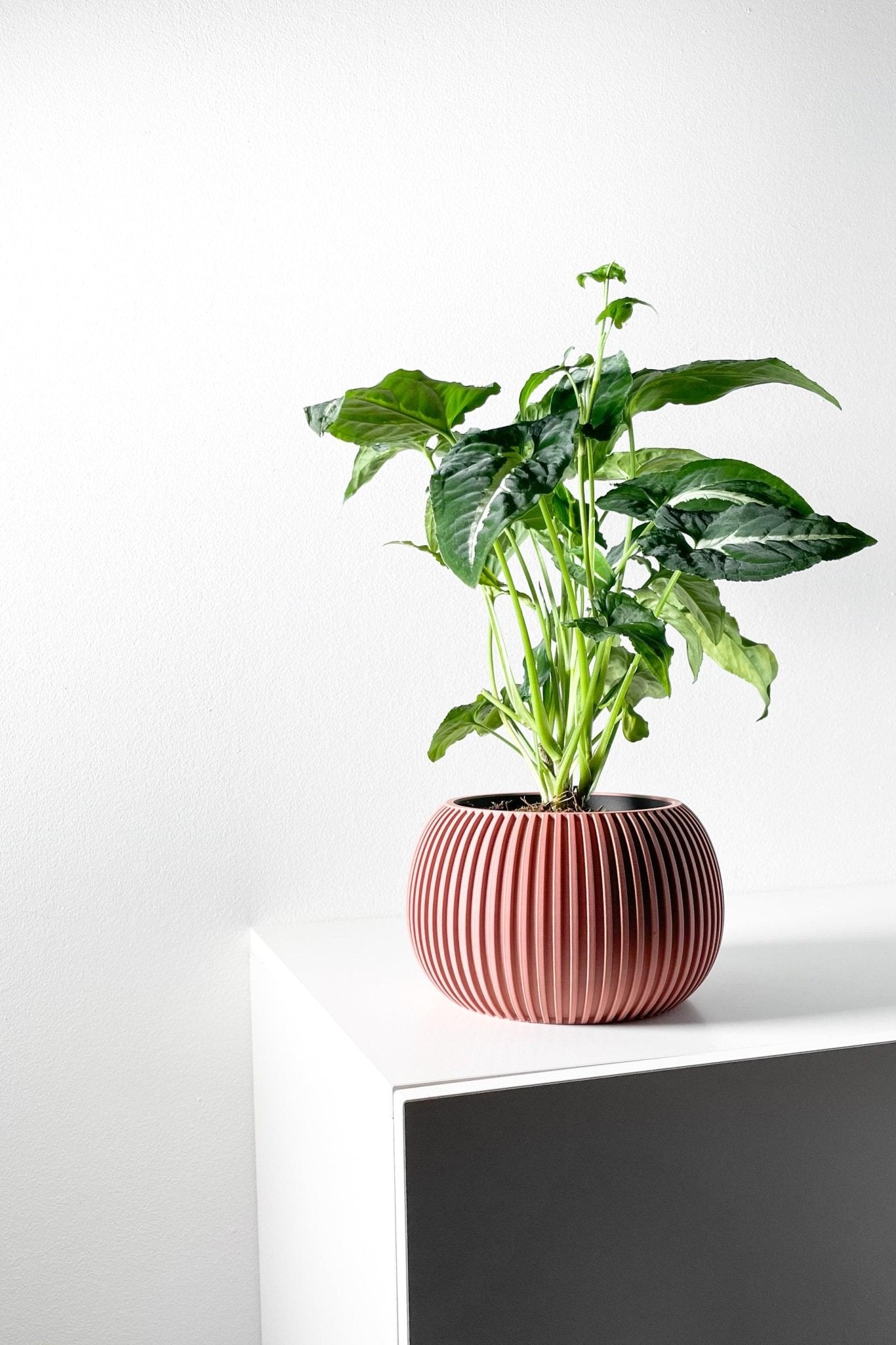 The "Surno" Planter - Modern Indoor Plant Pot and Container - WG Creative Co.