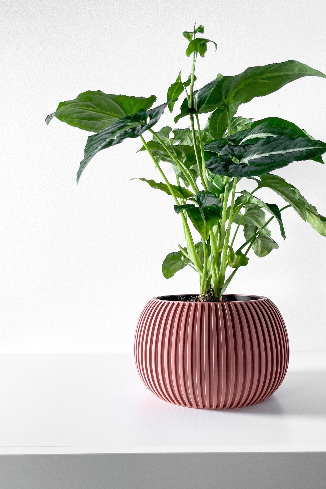 The "Surno" Planter - Modern Indoor Plant Pot and Container - WG Creative Co.