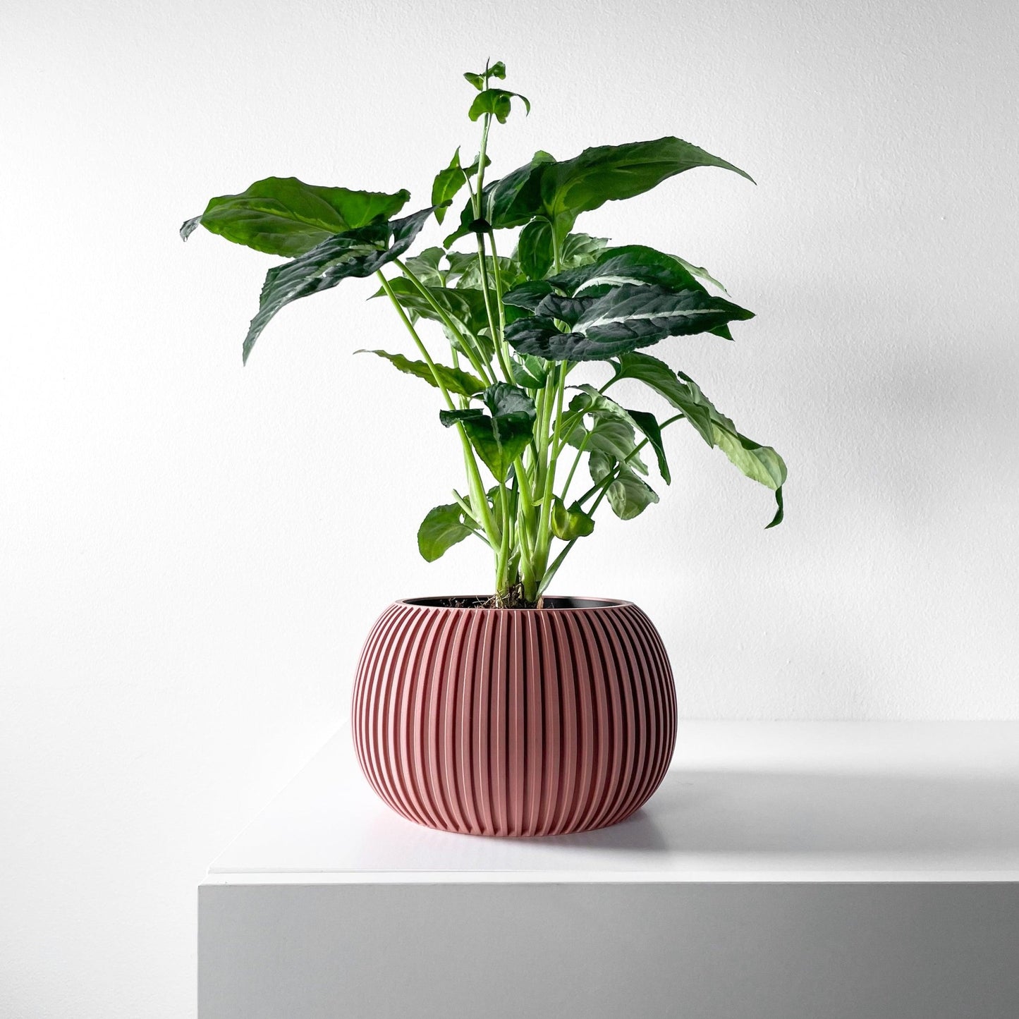 The "Surno" Planter - Modern Indoor Plant Pot and Container - WG Creative Co.