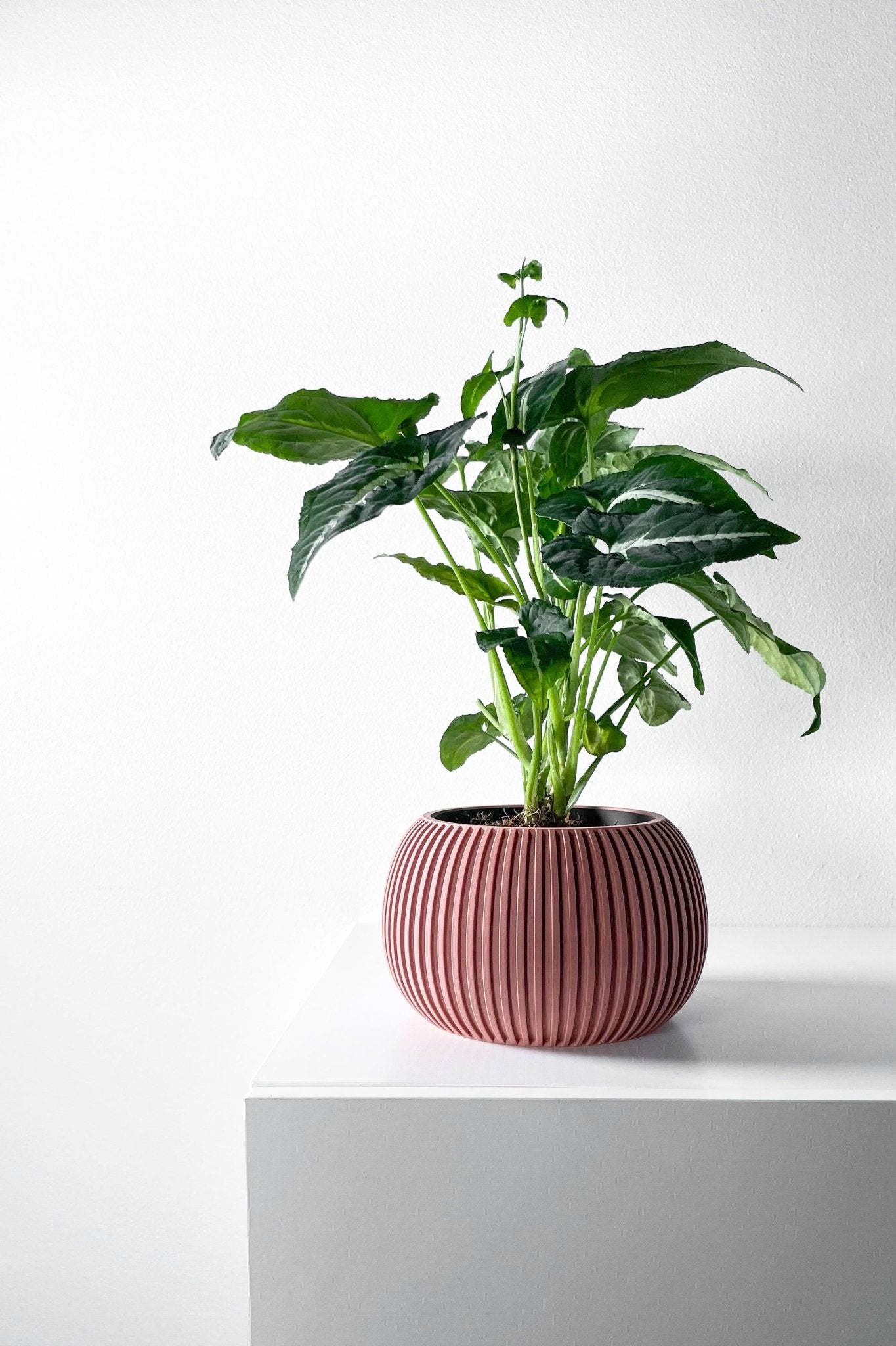 The "Surno" Planter - Modern Indoor Plant Pot and Container - WG Creative Co.