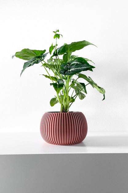 The "Surno" Planter - Modern Indoor Plant Pot and Container - WG Creative Co.