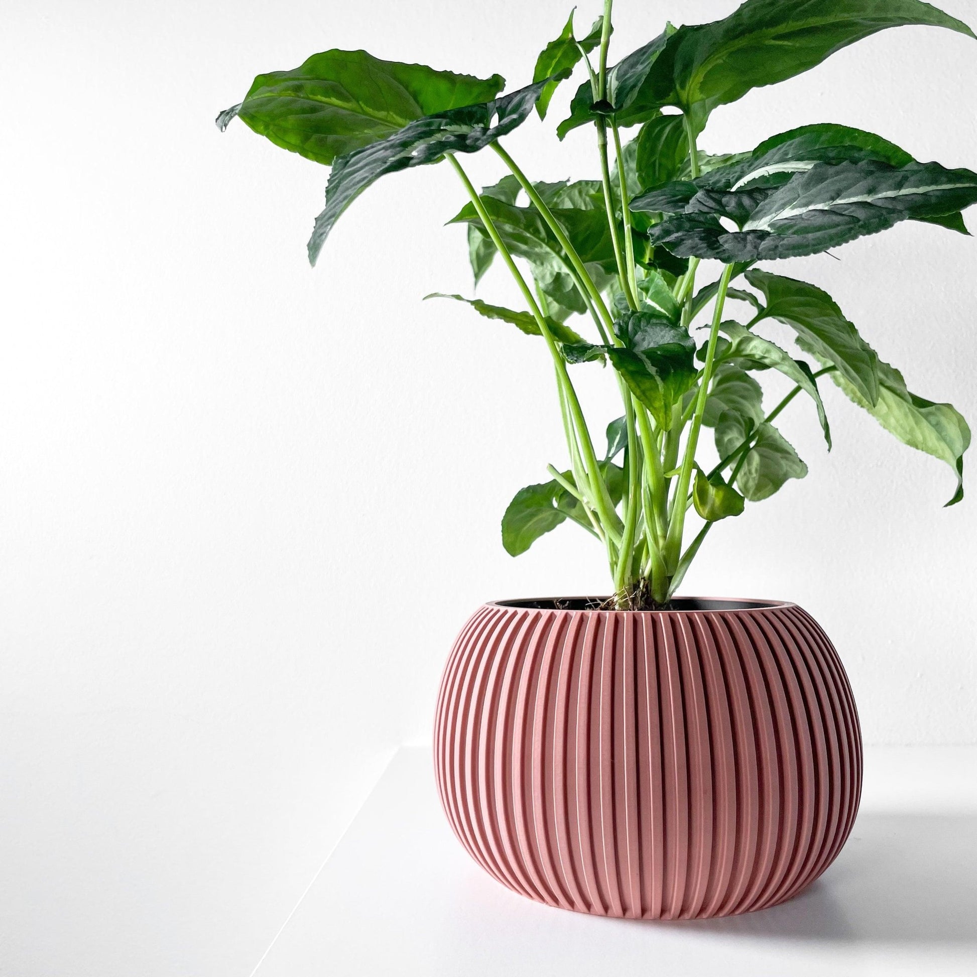 The "Surno" Planter - Modern Indoor Plant Pot and Container - WG Creative Co.