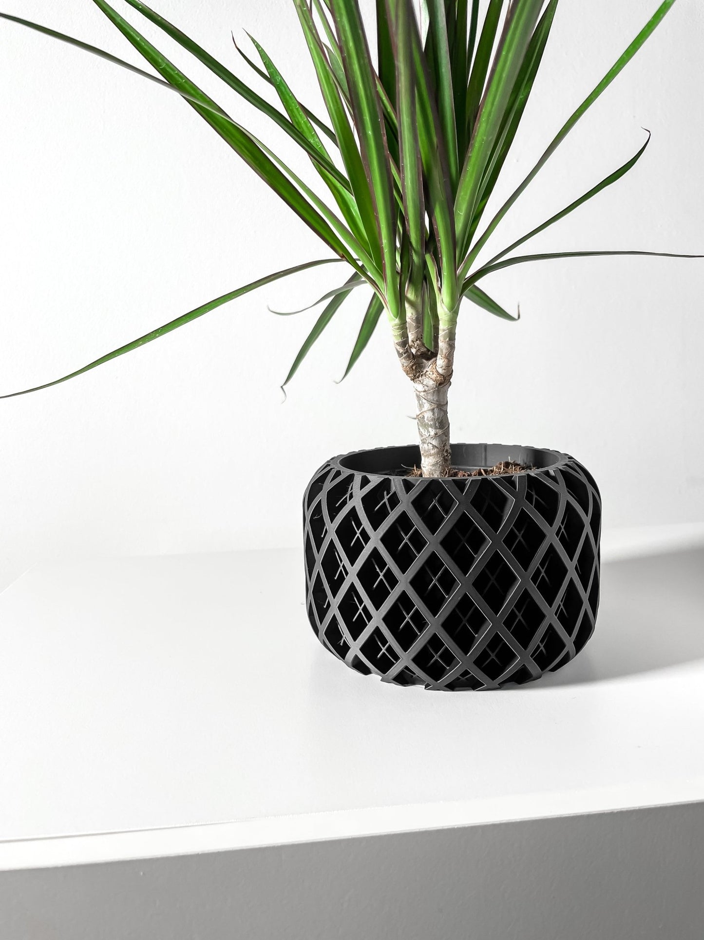 The "Torio" Planter - Modern Indoor Plant Pot and Container - WG Creative Co.