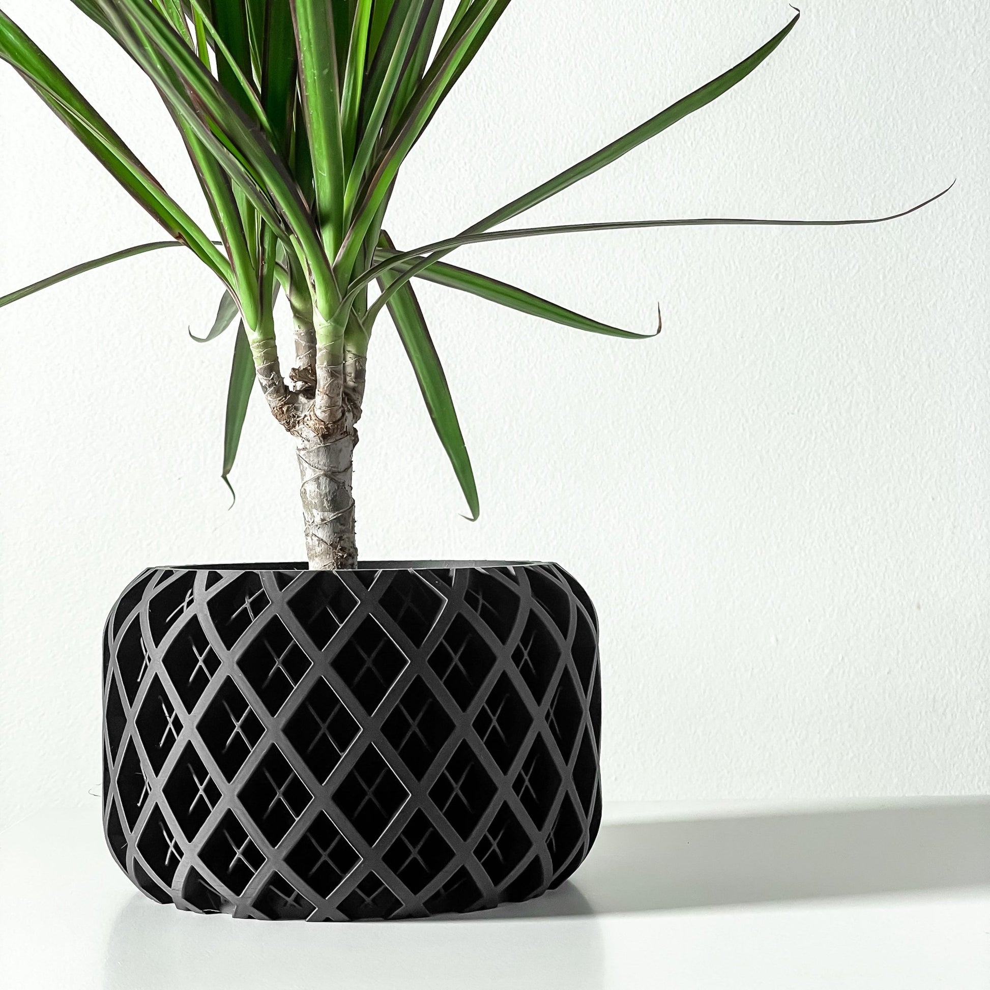 The "Torio" Planter - Modern Indoor Plant Pot and Container - WG Creative Co.