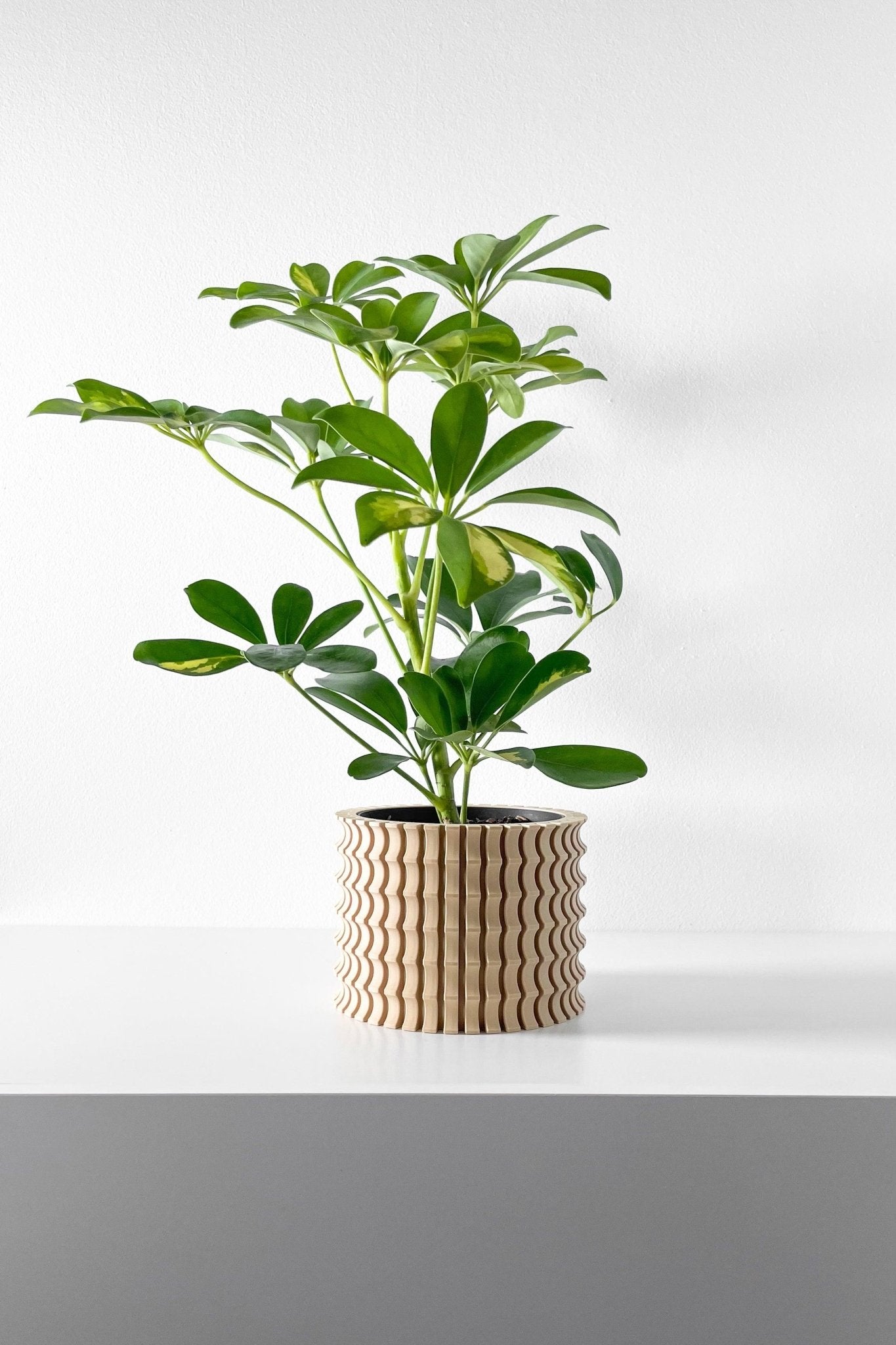 The "Tulam" Planter - Modern Indoor Plant Pot and Container - WG Creative Co.