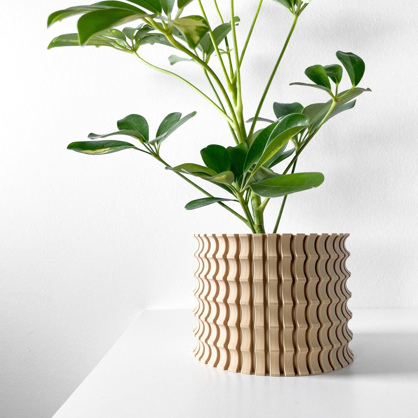 The "Tulam" Planter - Modern Indoor Plant Pot and Container - WG Creative Co.